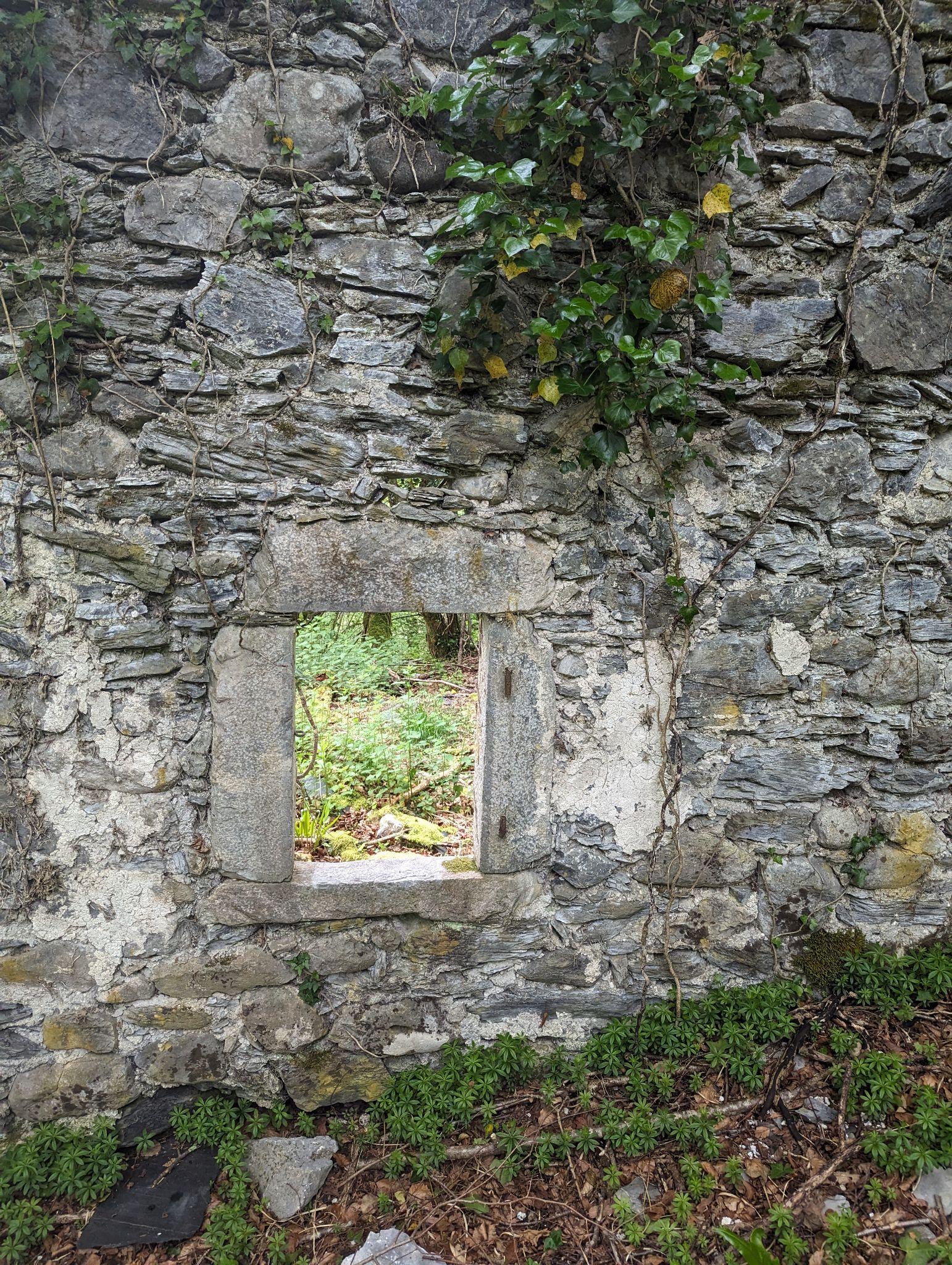 PXL 20240512 110421819