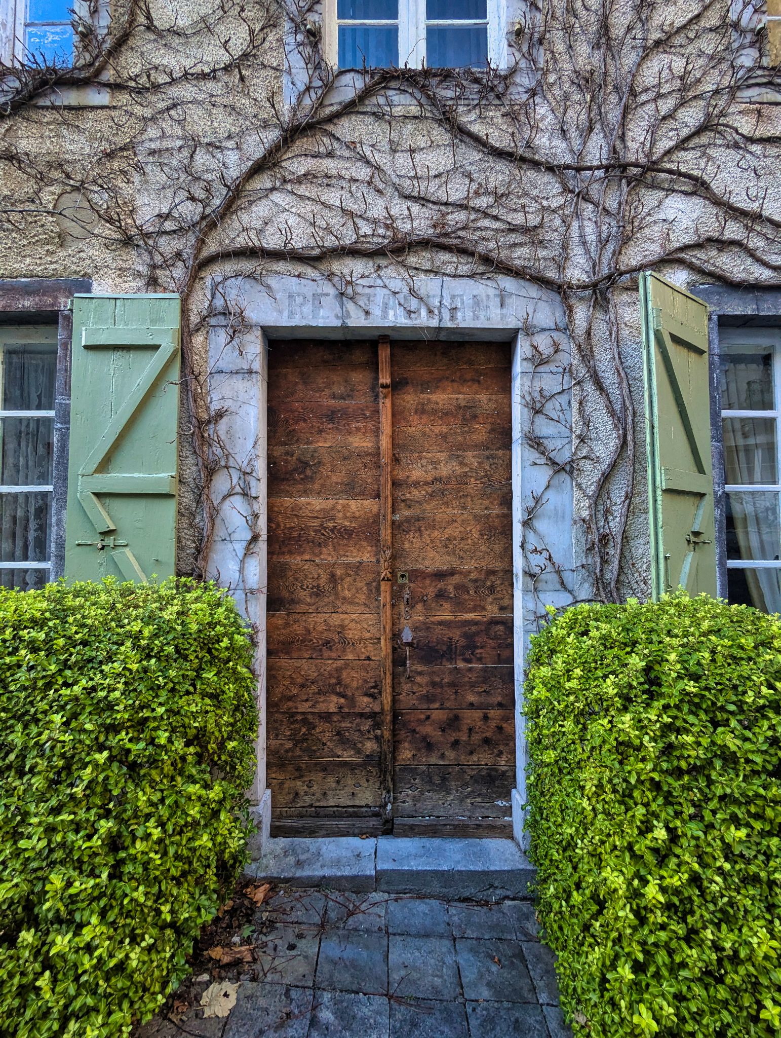 PXL 20241130 140633684