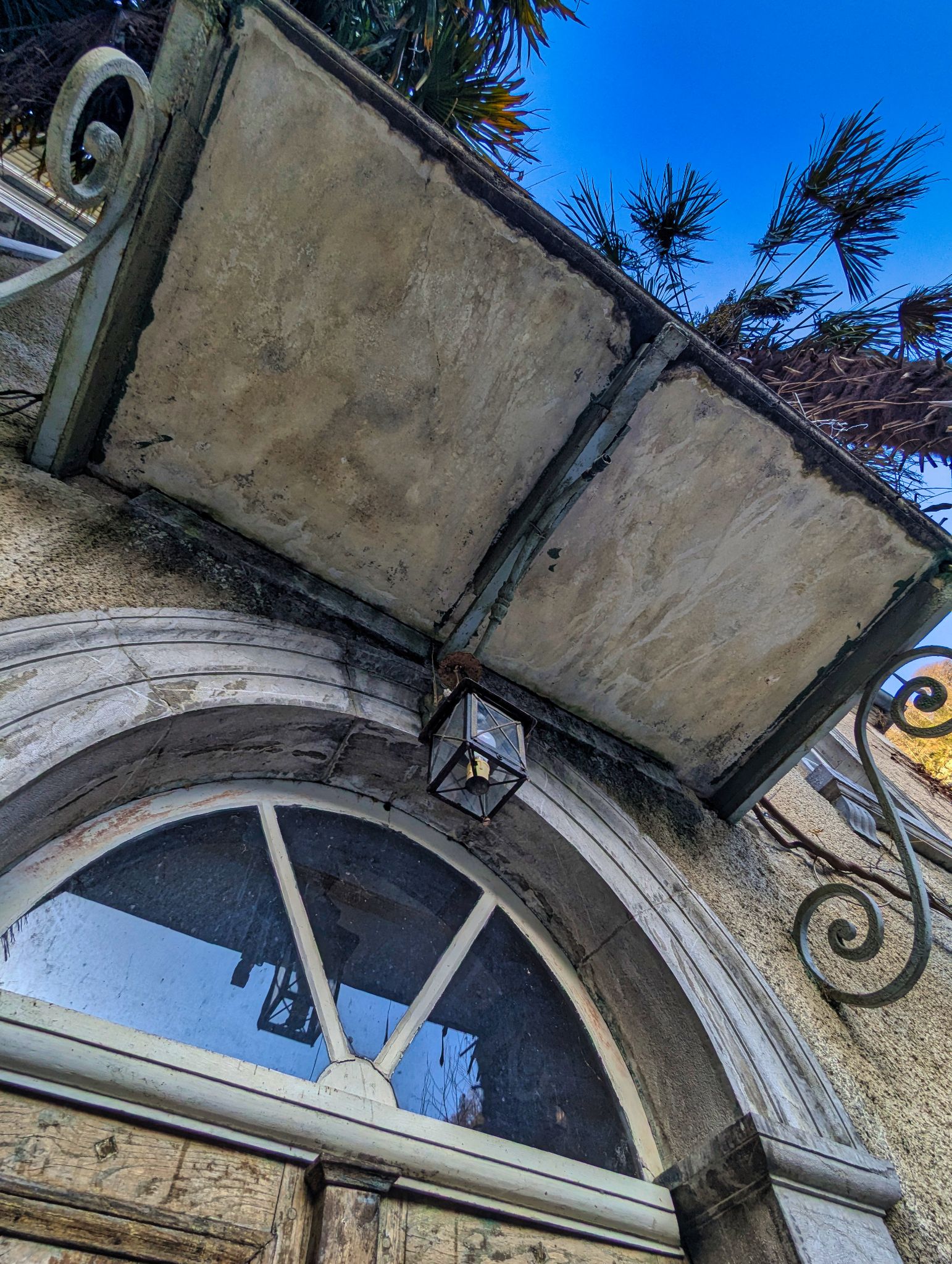 PXL 20241130 141620573