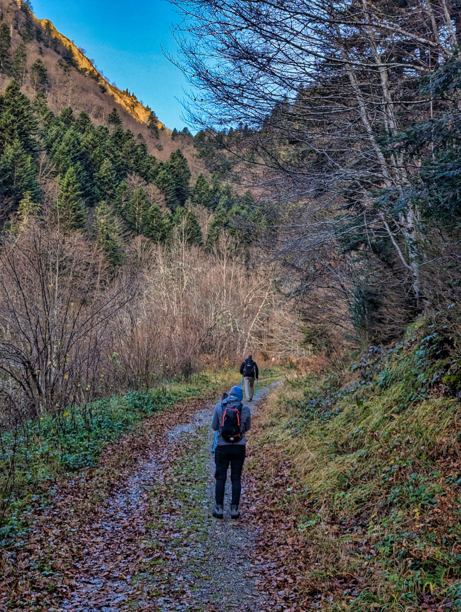 PXL 20241201 074509552