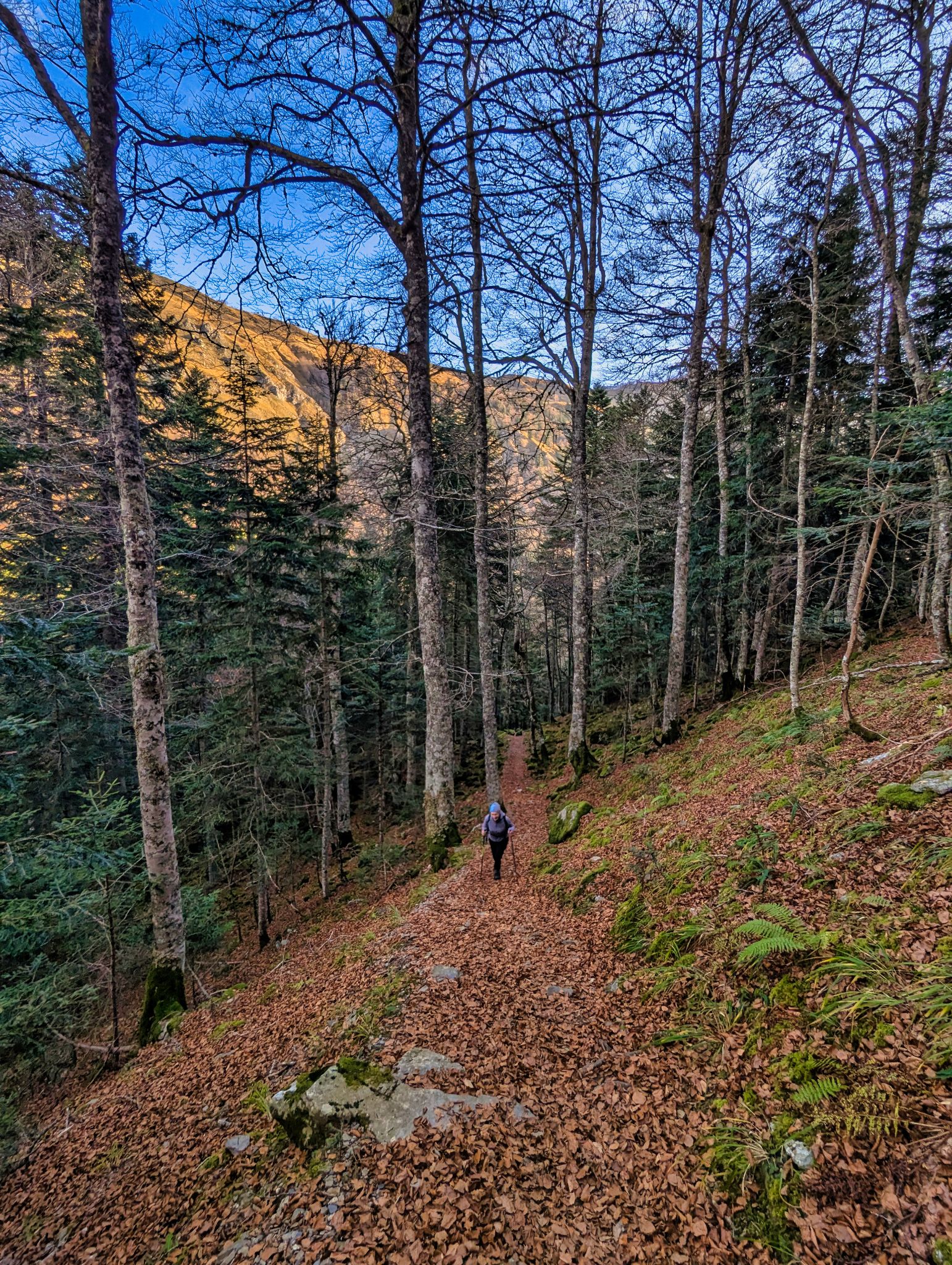 PXL 20241201 081652393