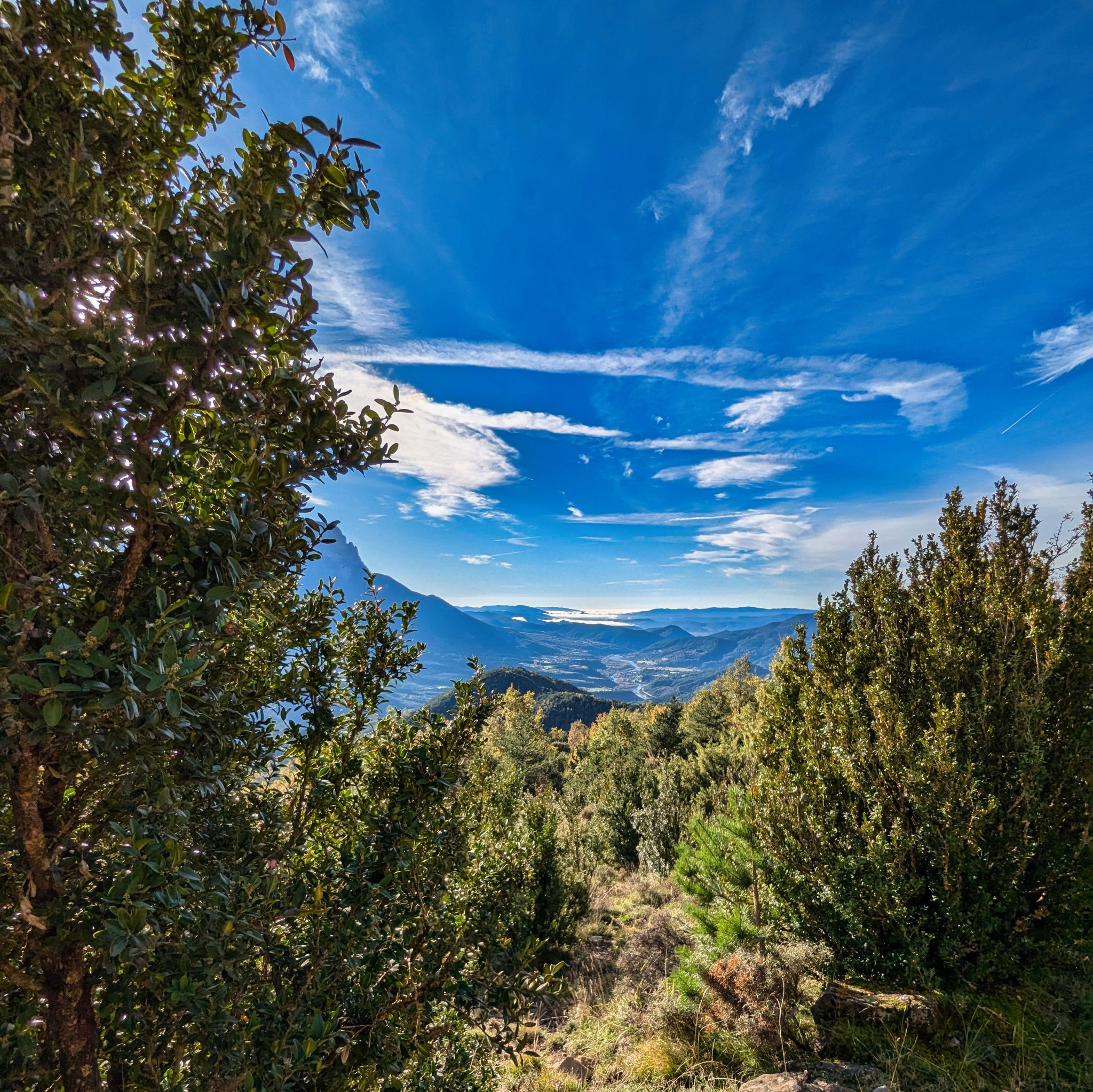 PXL 20241110 083155464