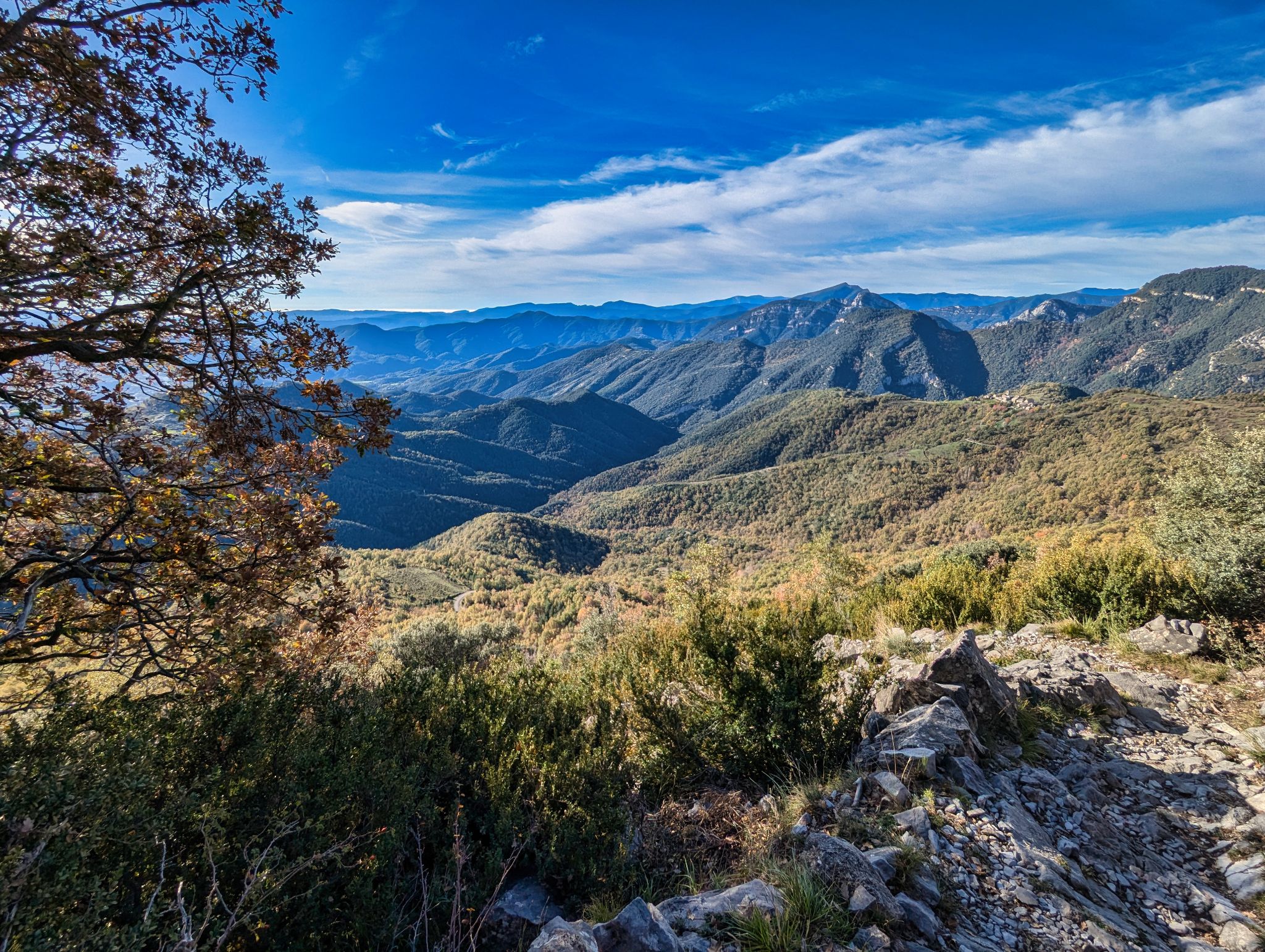 PXL 20241110 092007251