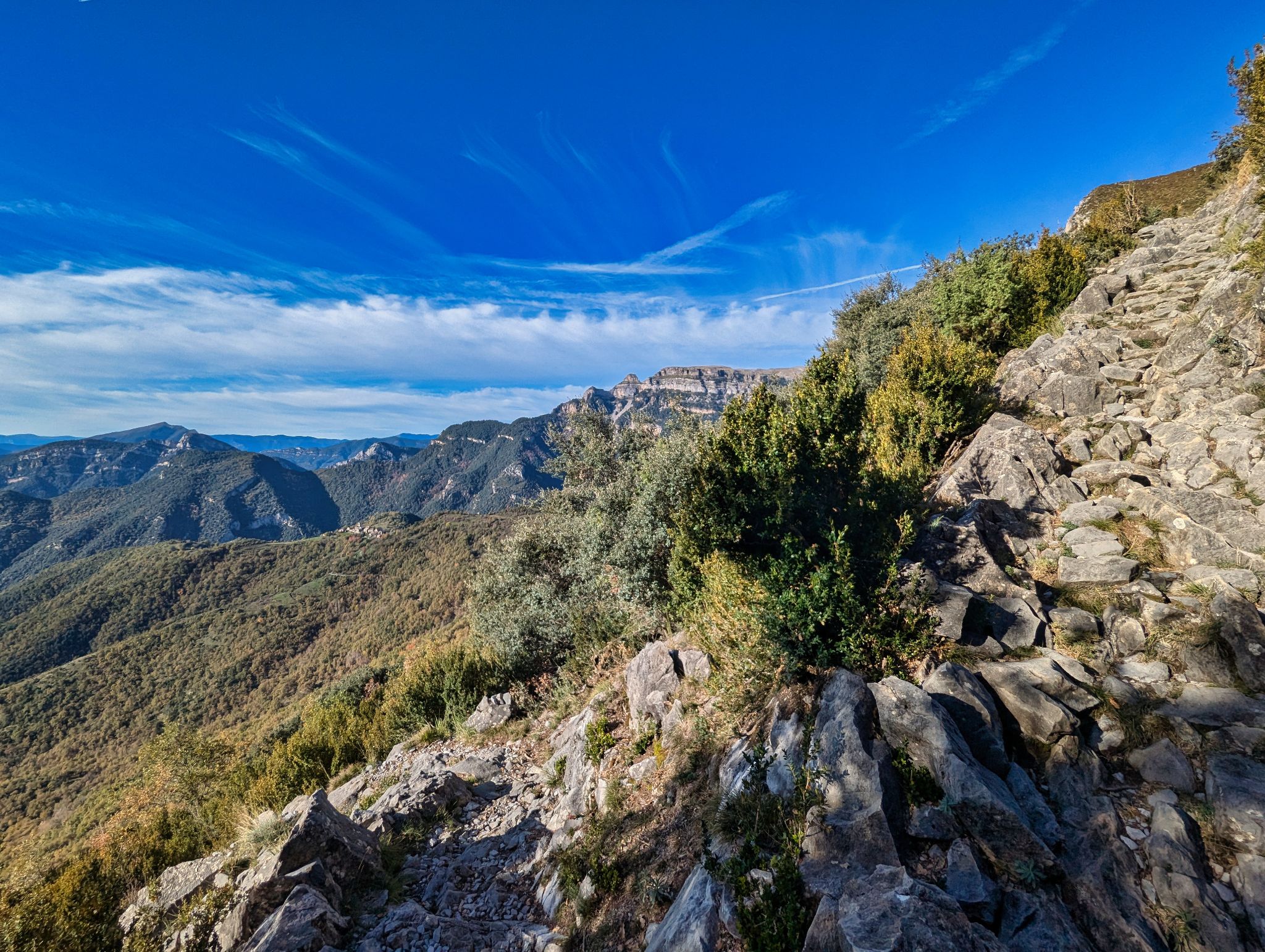 PXL 20241110 092011690