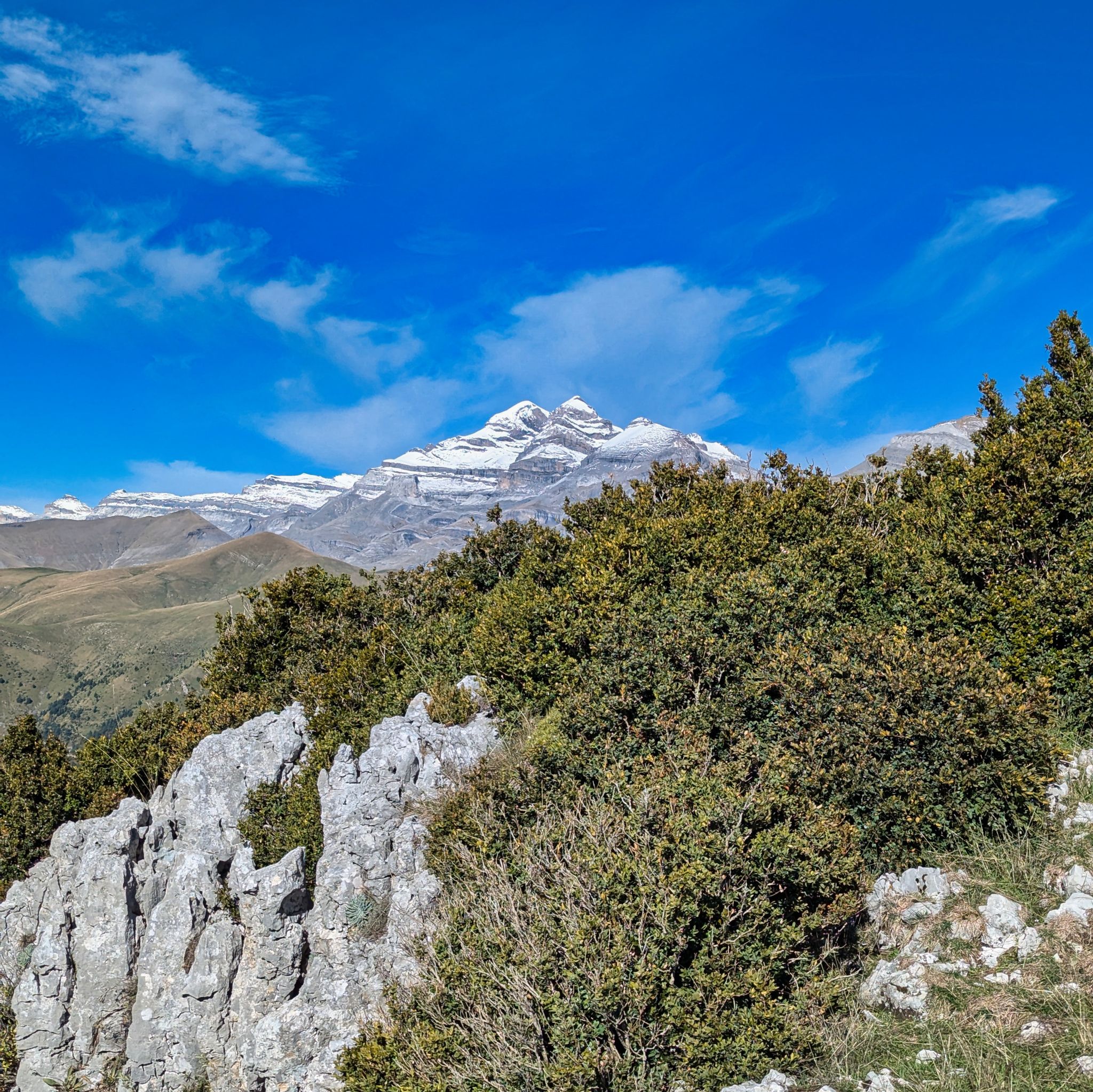 PXL 20241110 103458416