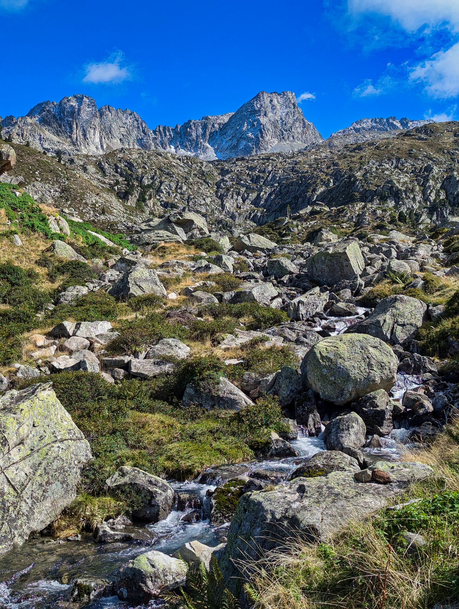 PXL 20240913 141340587