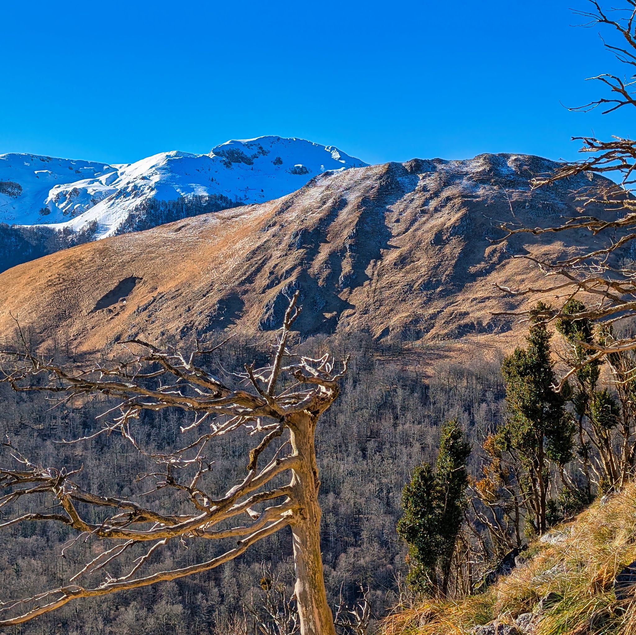 PXL 20250202 095435279