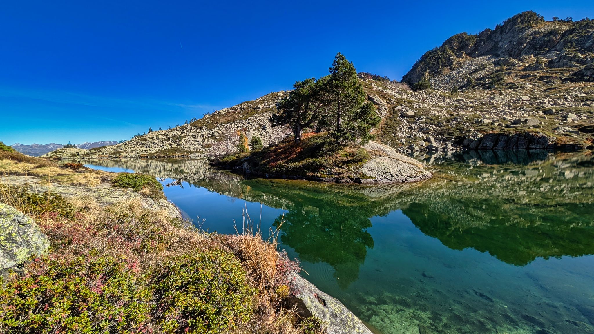 PXL 20251027 112443966