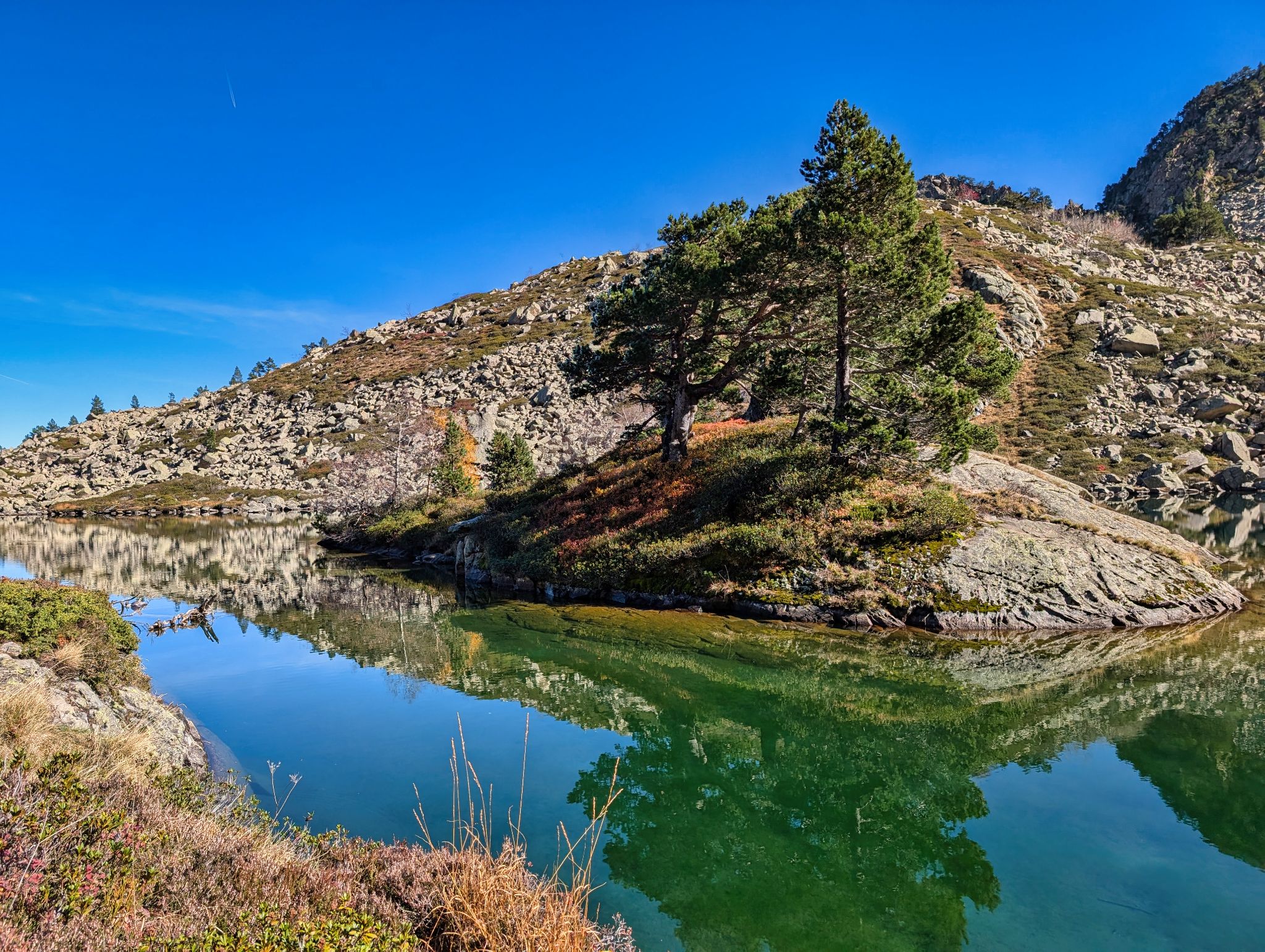 PXL 20251027 112447032