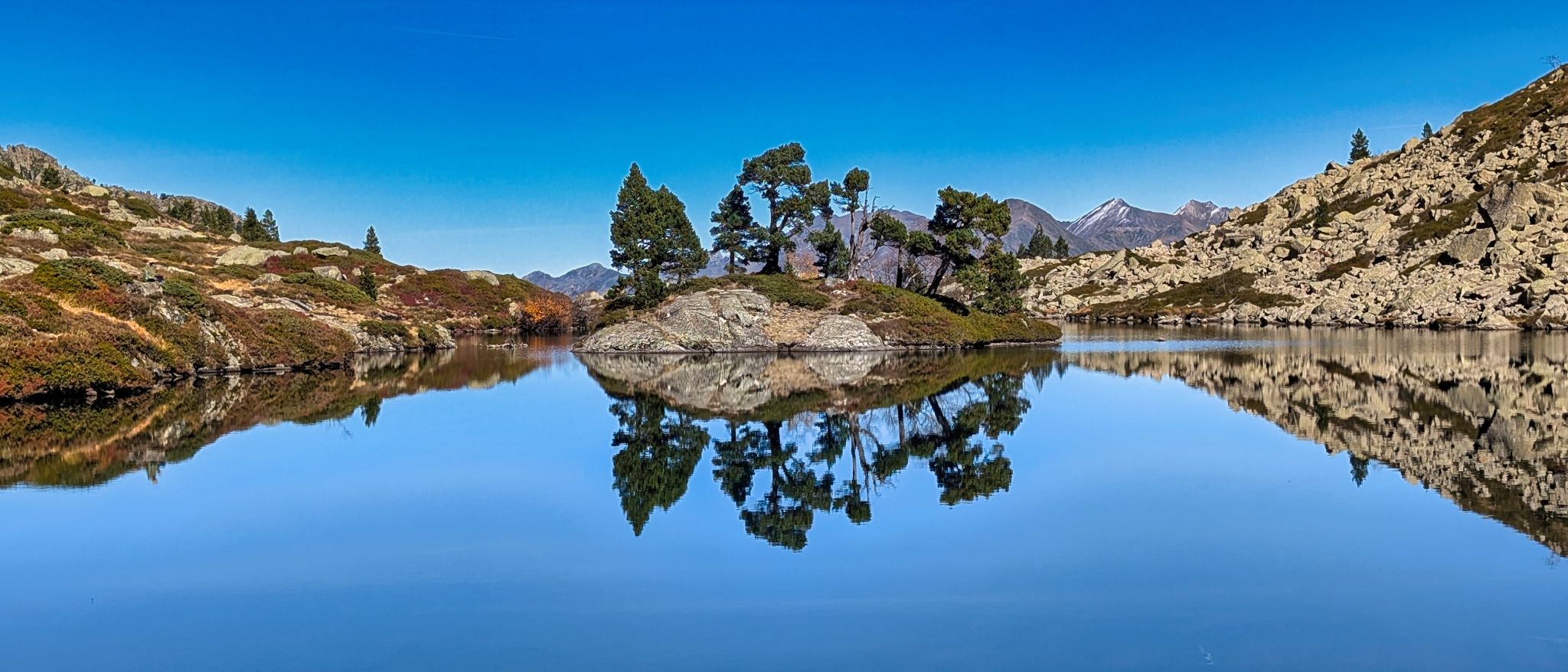 PXL 20251027 113325964