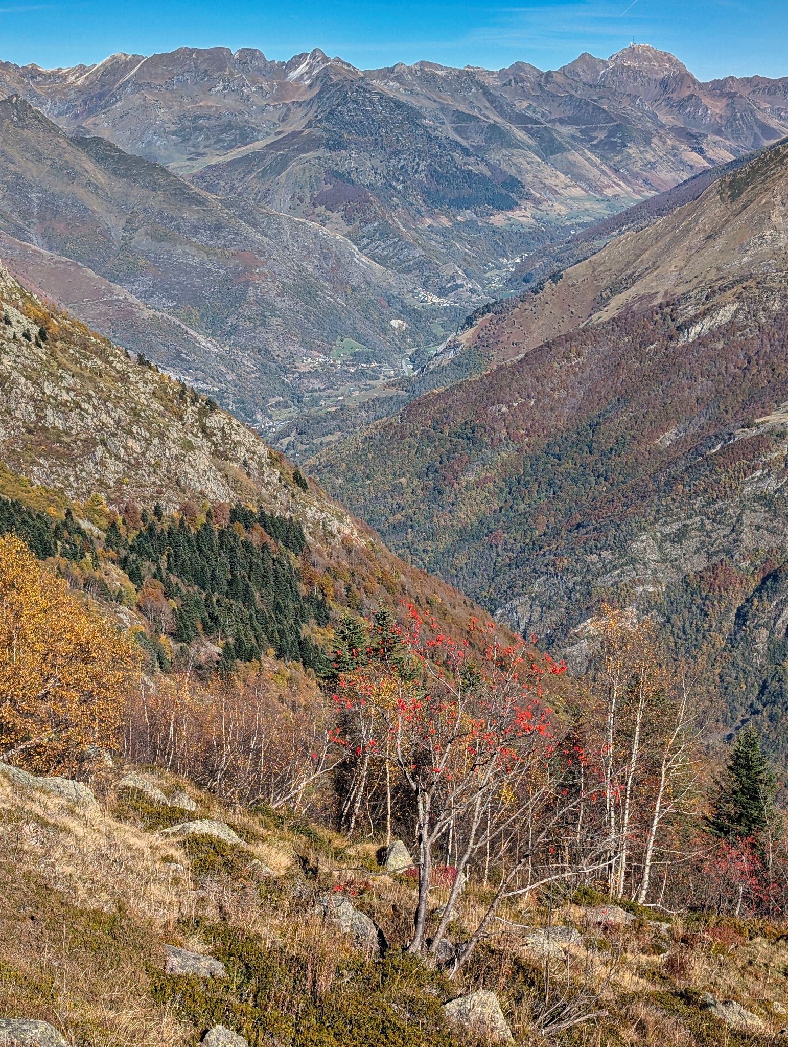 PXL 20251027 130411409