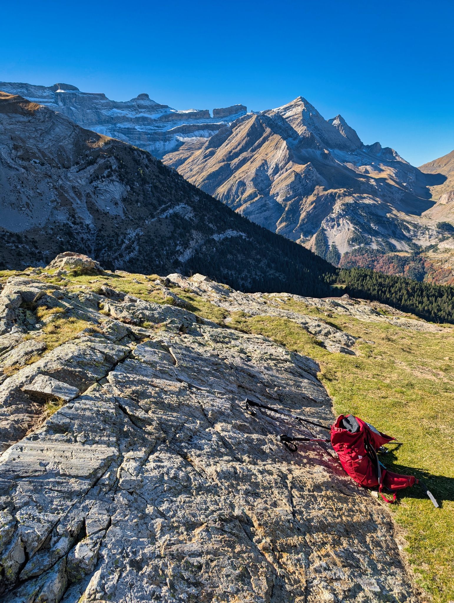 PXL 20251028 101422427