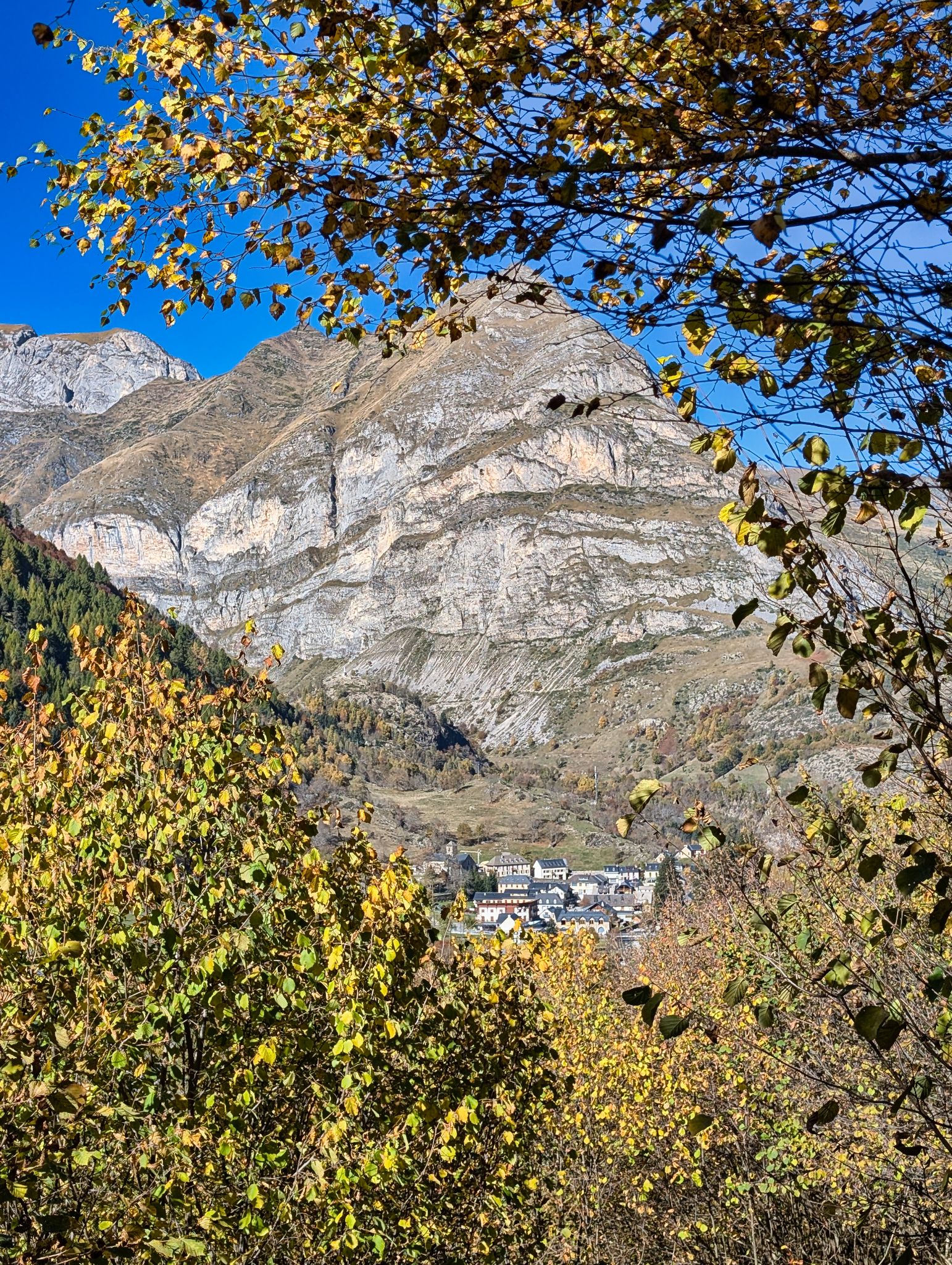 PXL 20251028 120327213