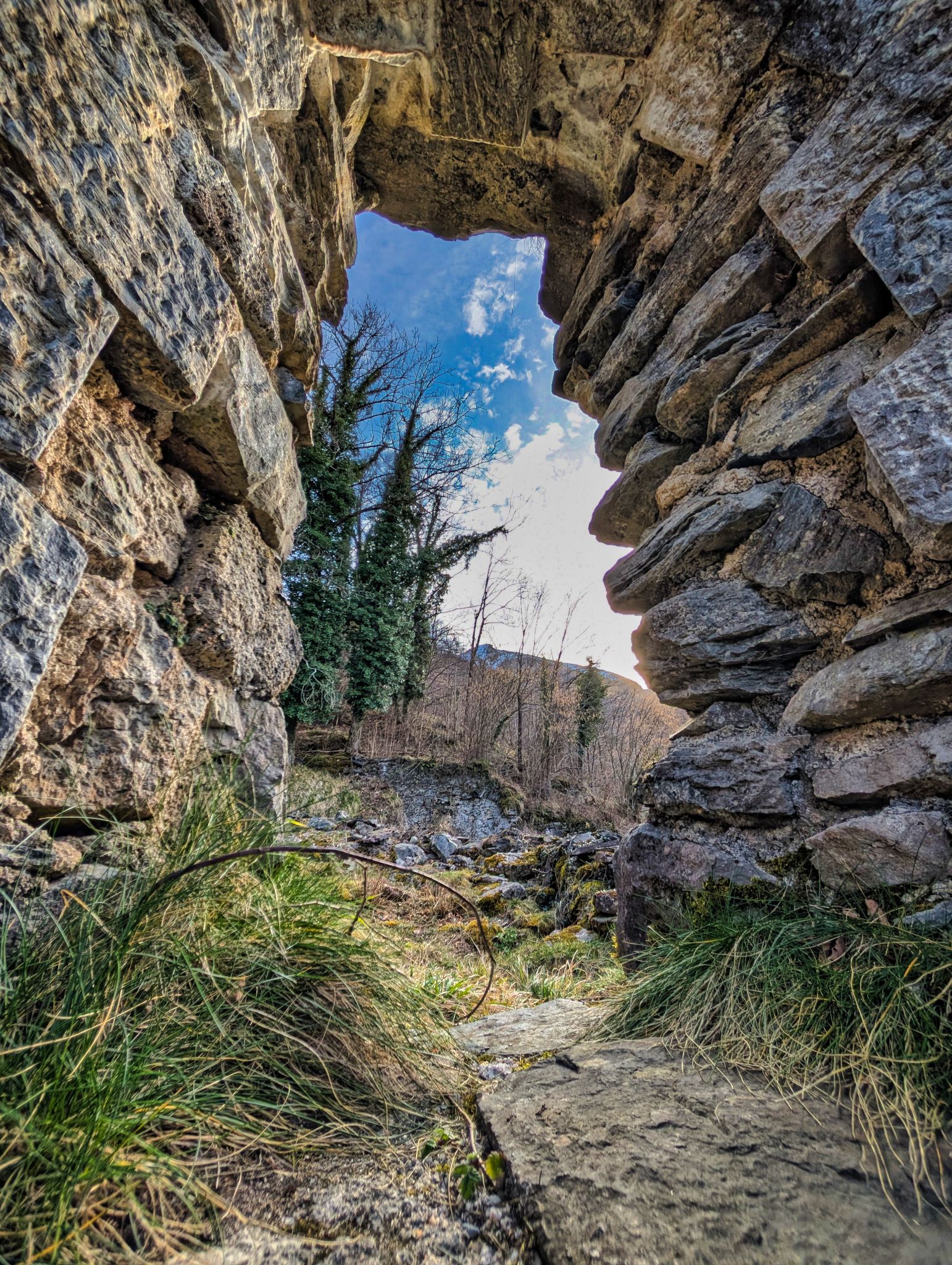 PXL 20250219 085917154