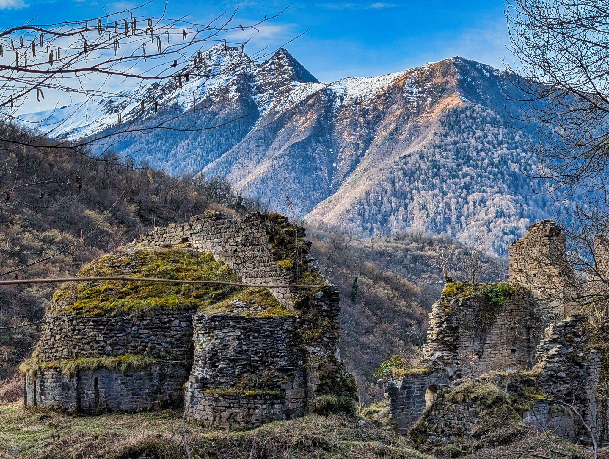 PXL 20250219 090533161