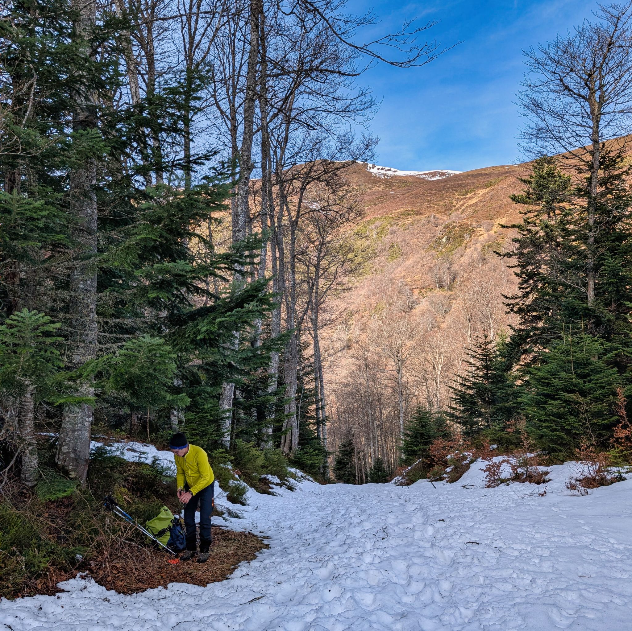 PXL 20250219 102853268