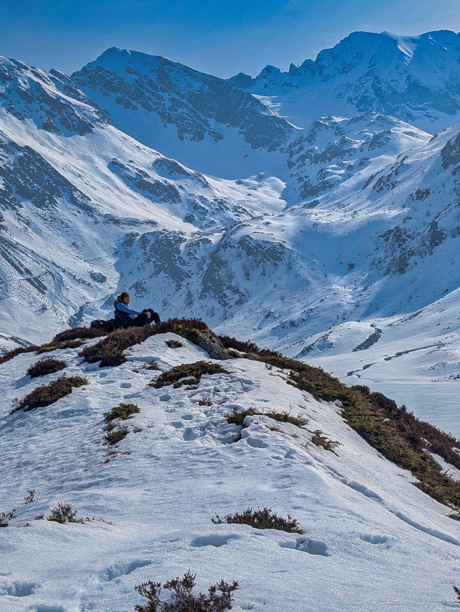 PXL 20250219 120550165