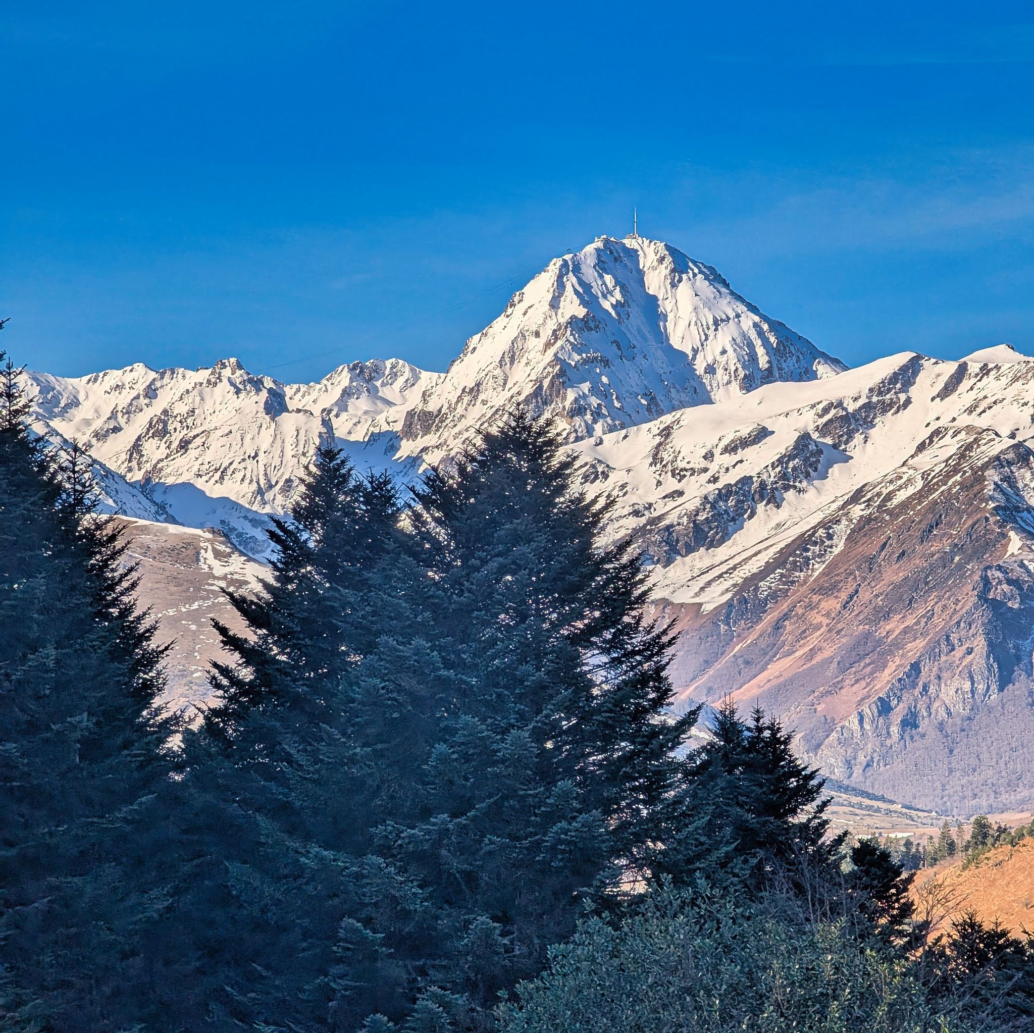 PXL 20250115 100239909