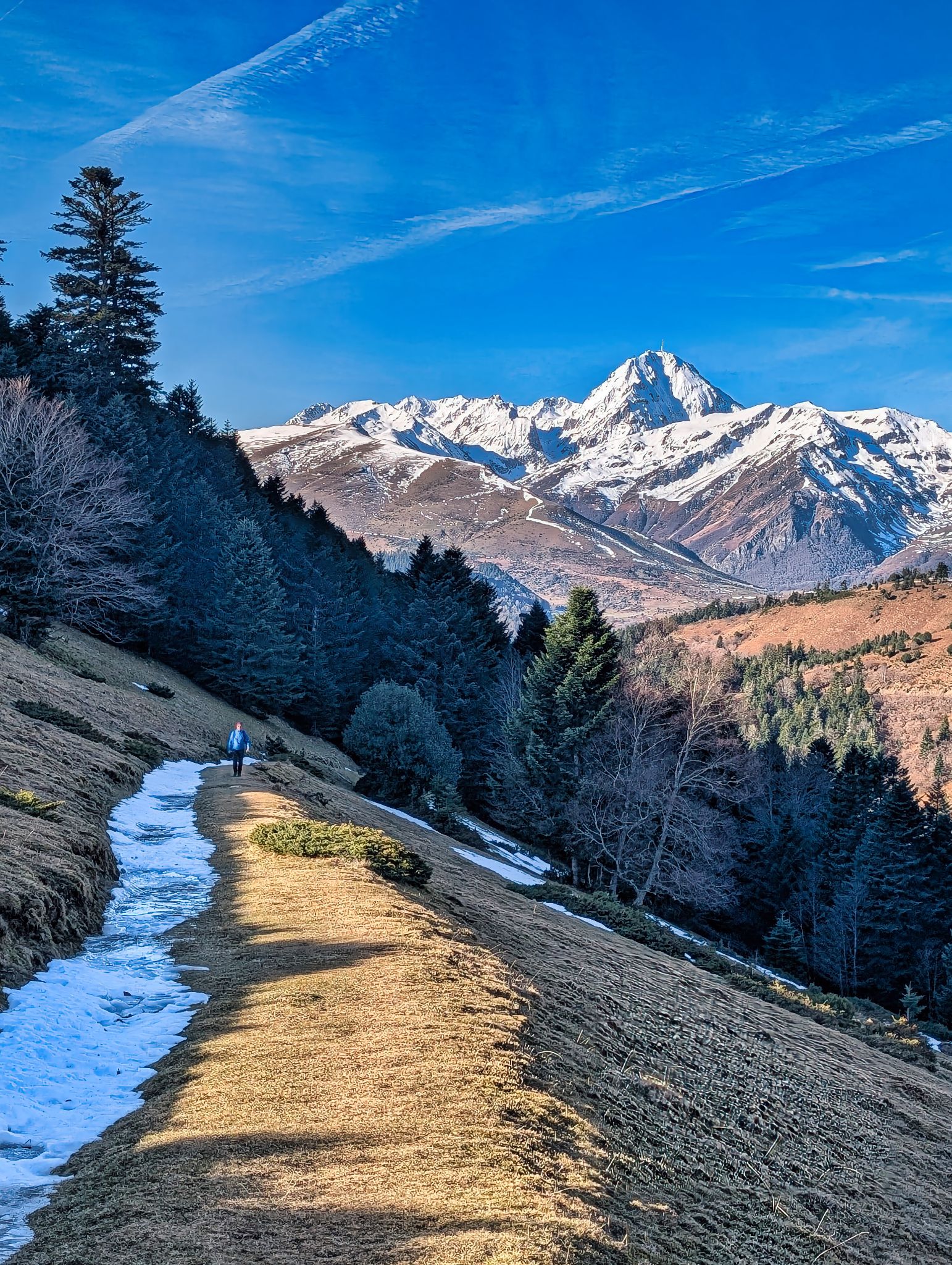 PXL 20250115 100507864