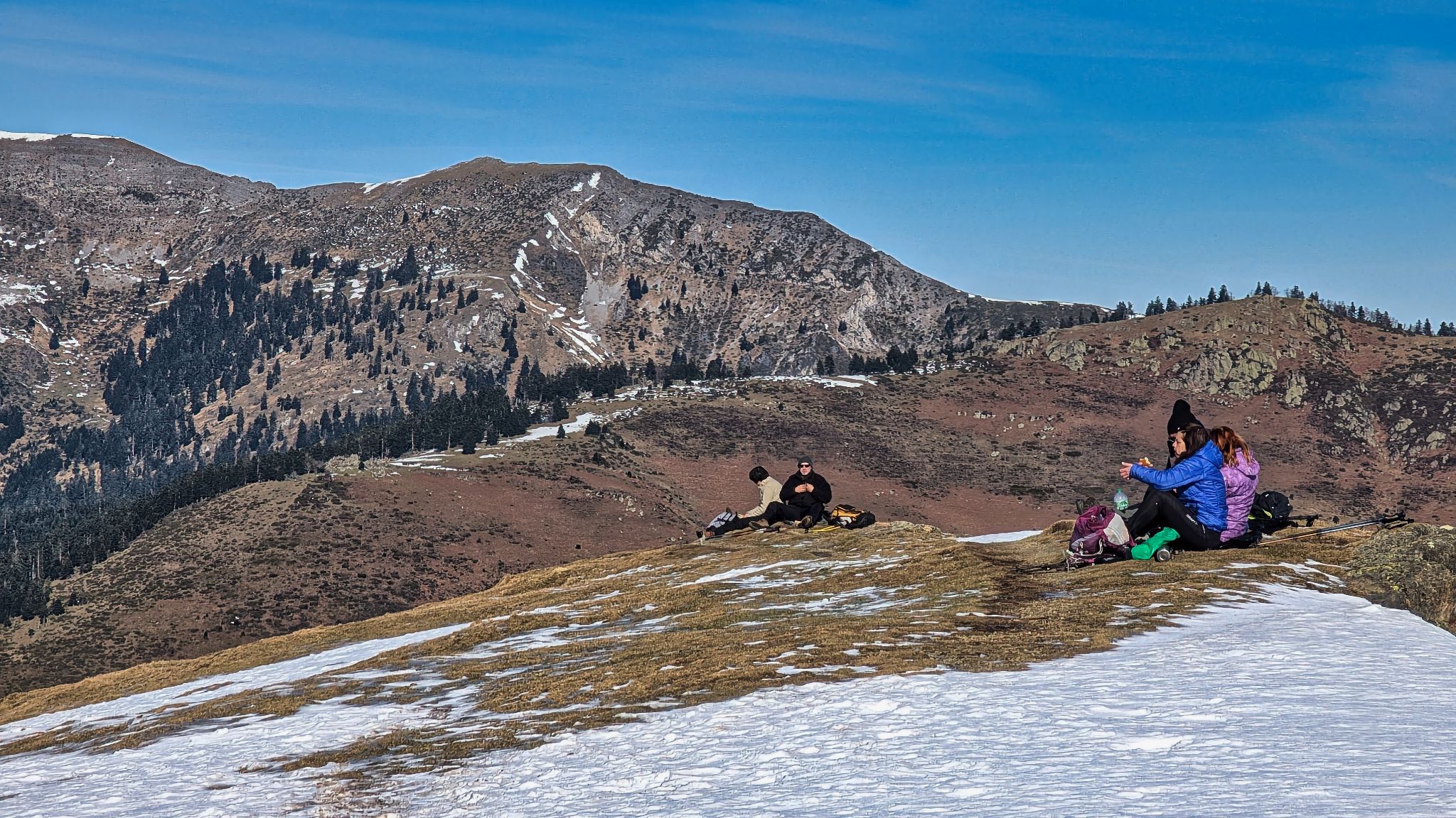 PXL 20250115 115154025