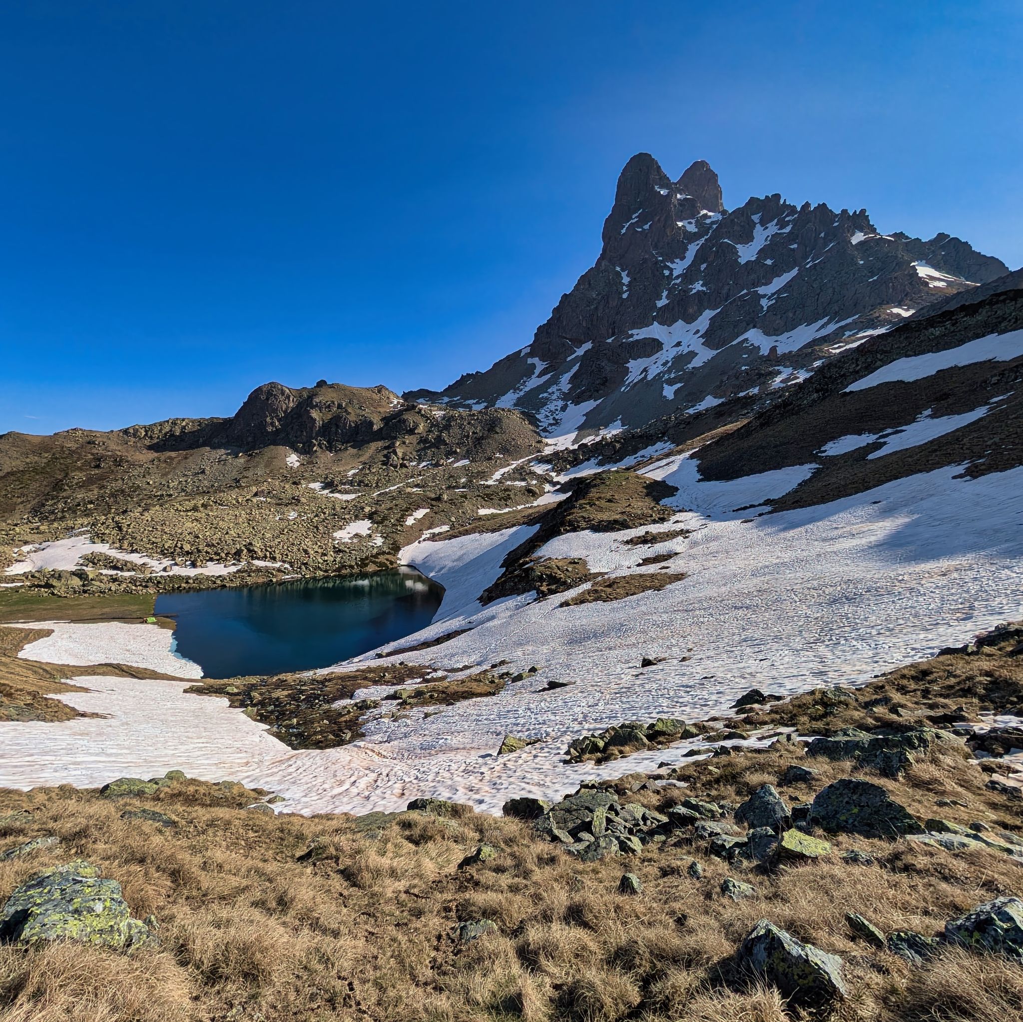 PXL 20250518 074419464