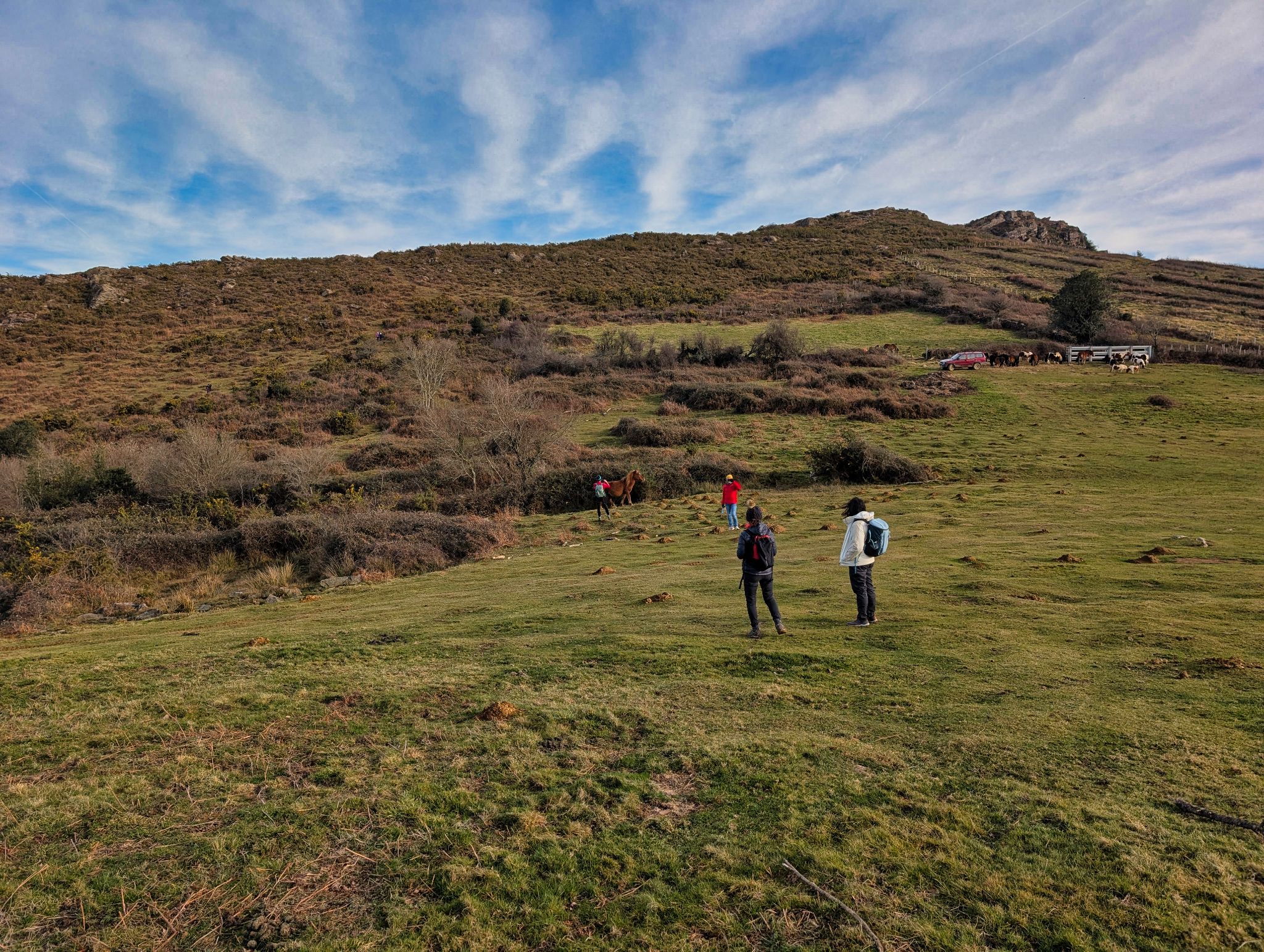 PXL 20260101 101055368