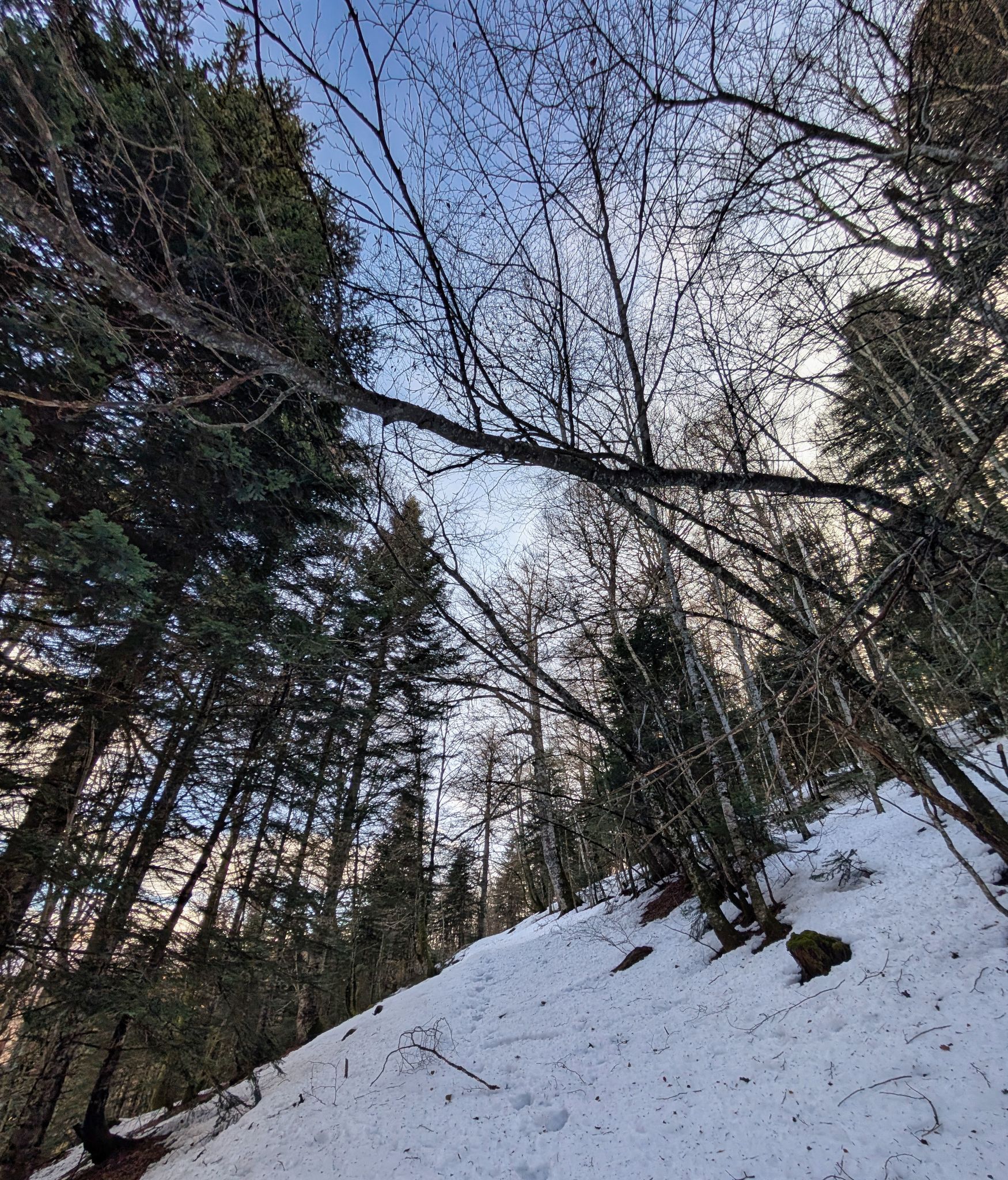 PXL 20260203 115500347