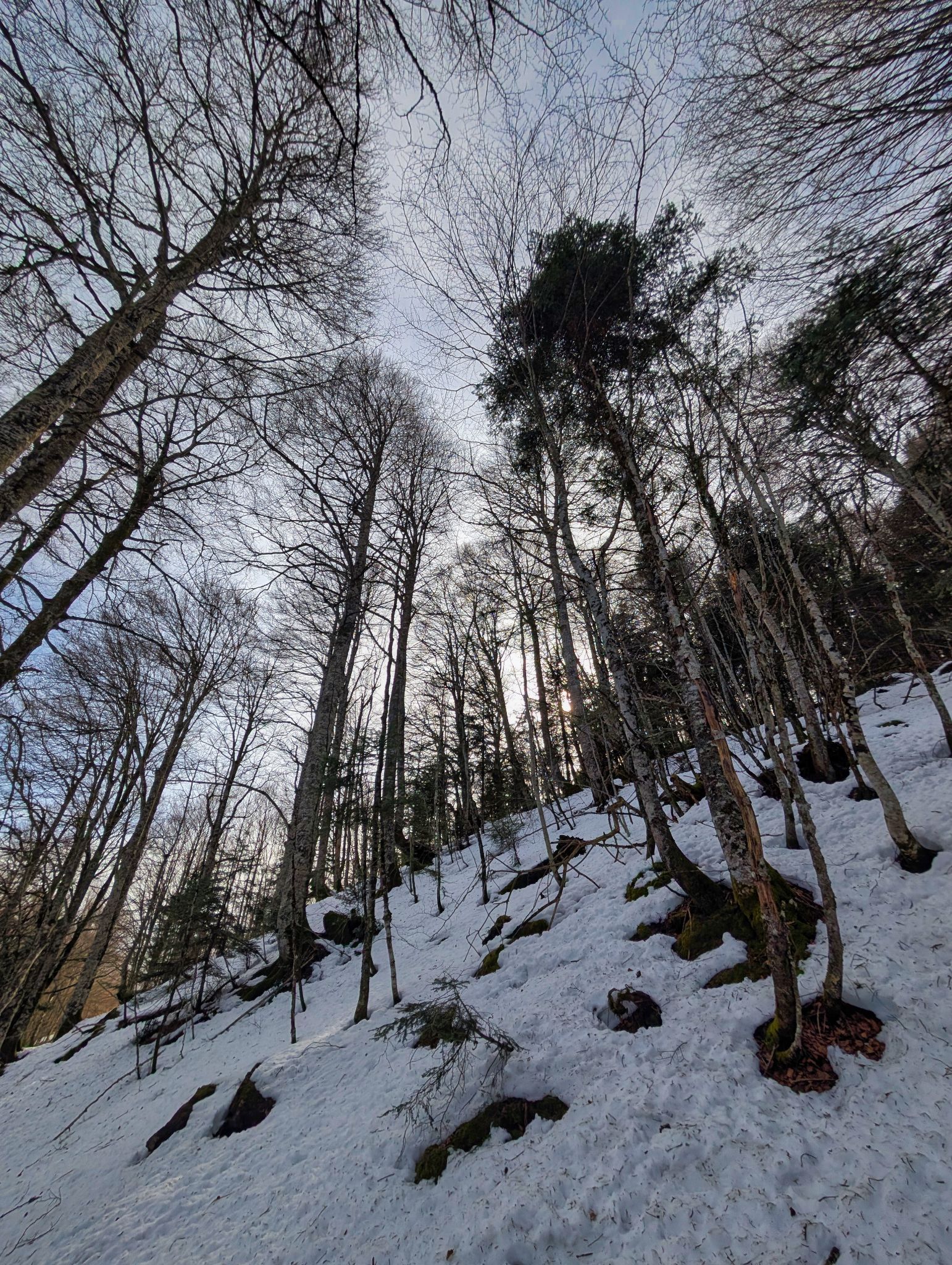 PXL 20260203 115910932