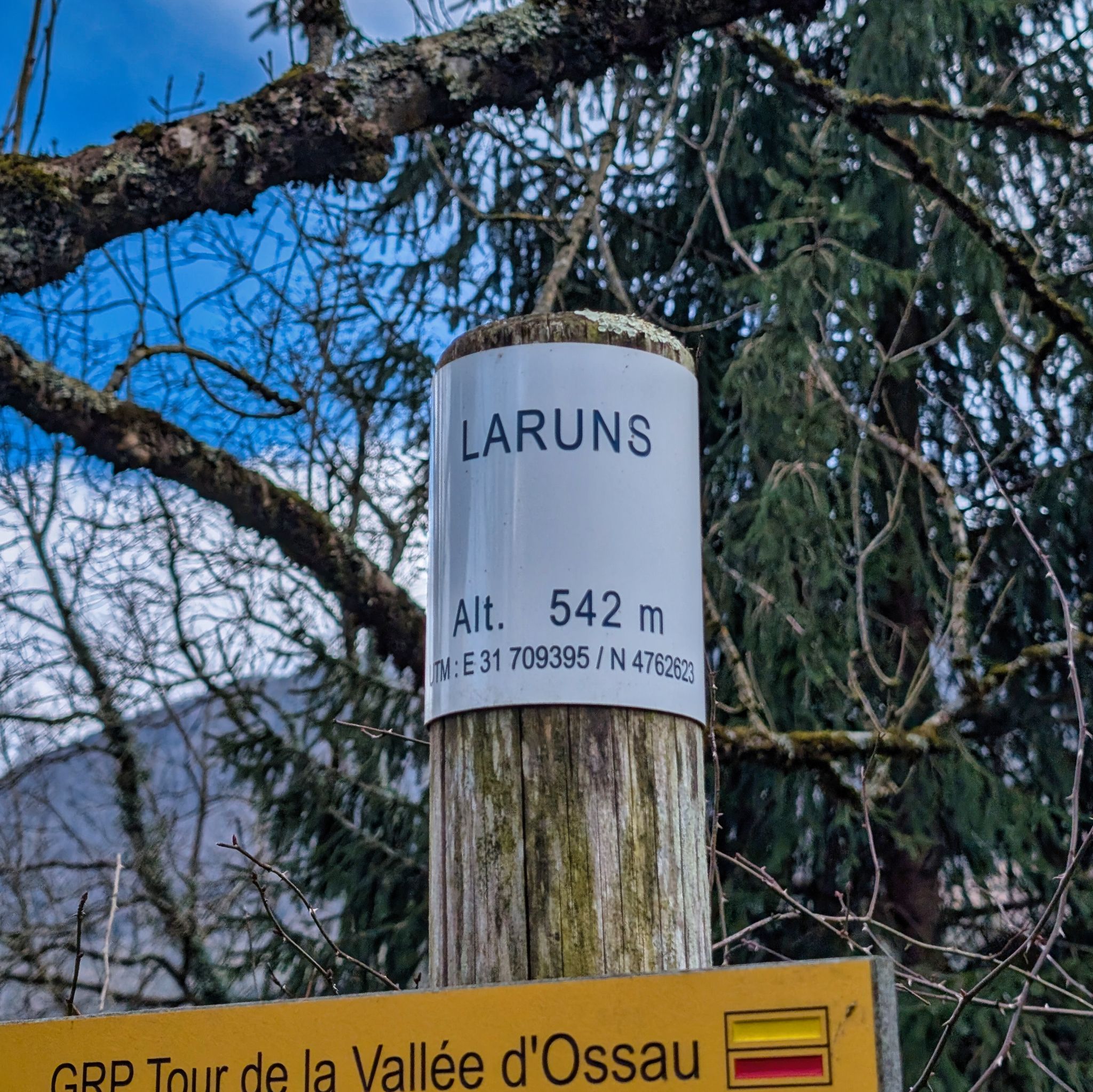 PXL 20260203 142411265.MP