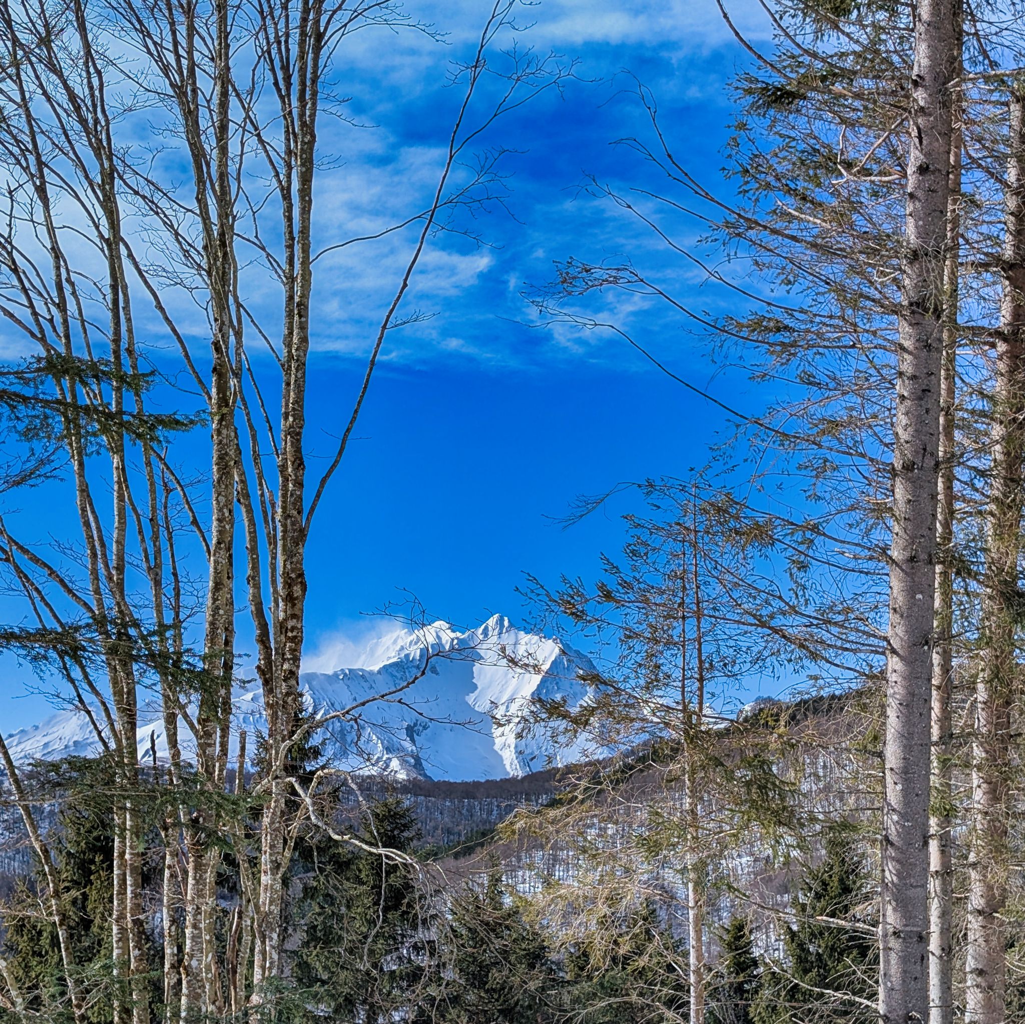 PXL 20260218 102756053.MP