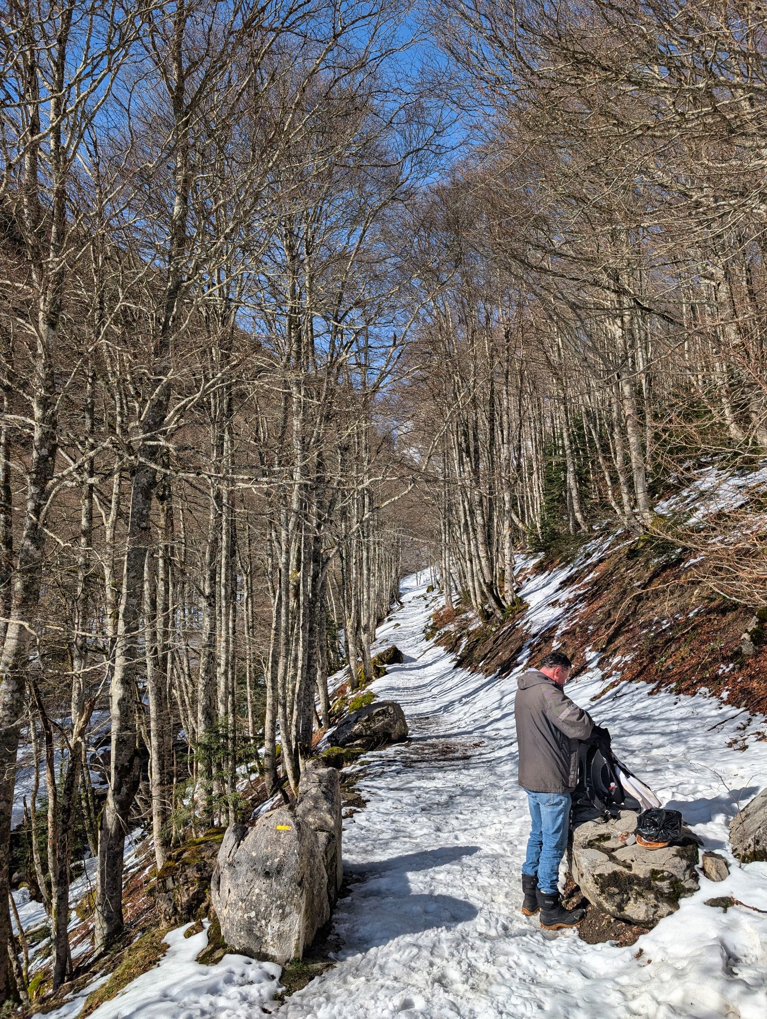 PXL 20260222 095241542.MP