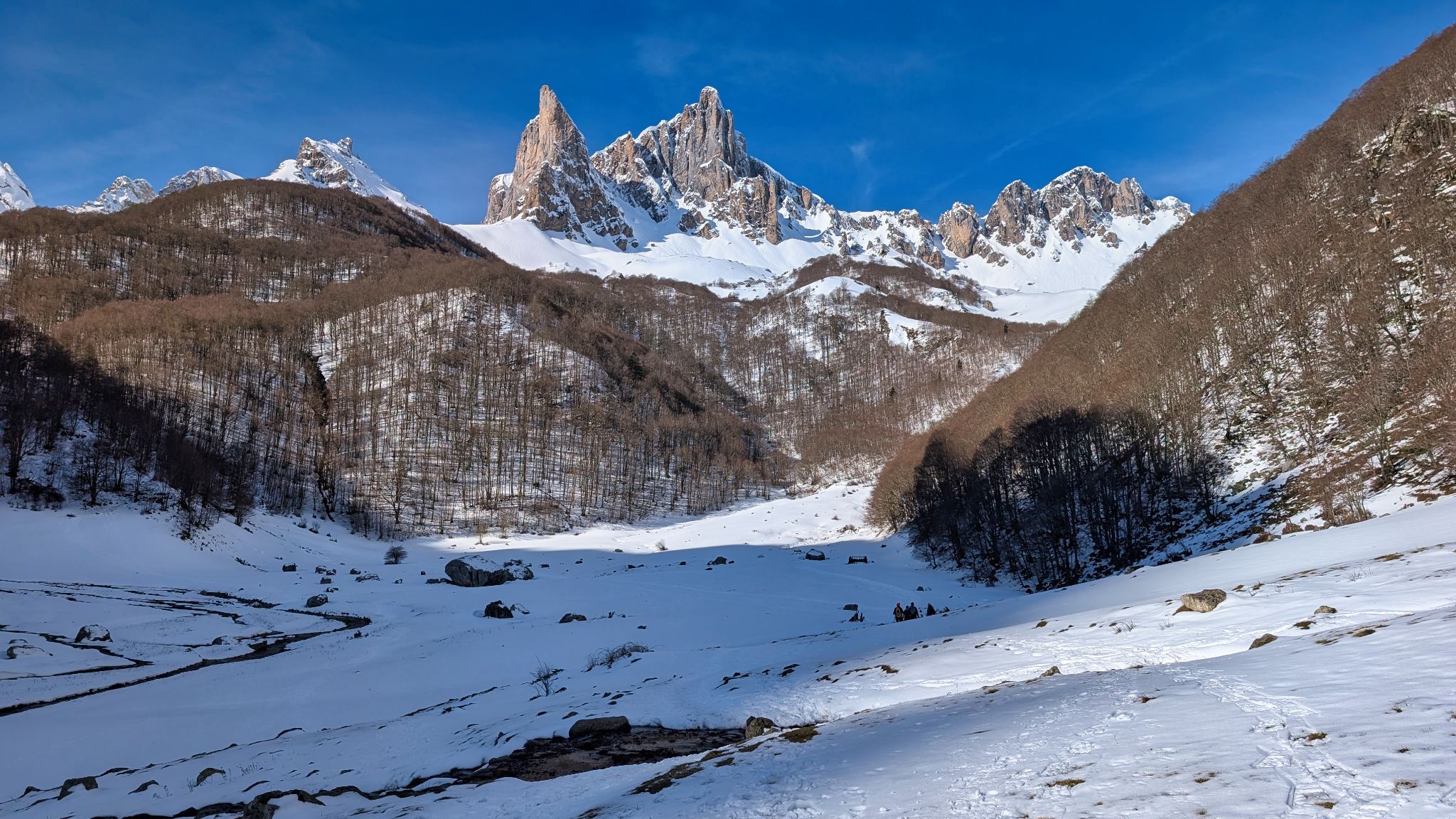 PXL 20260222 101809358