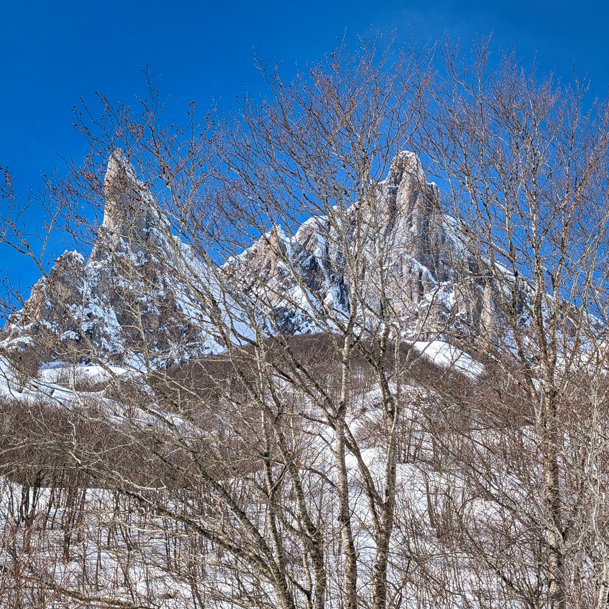 PXL 20260222 105401079.MP