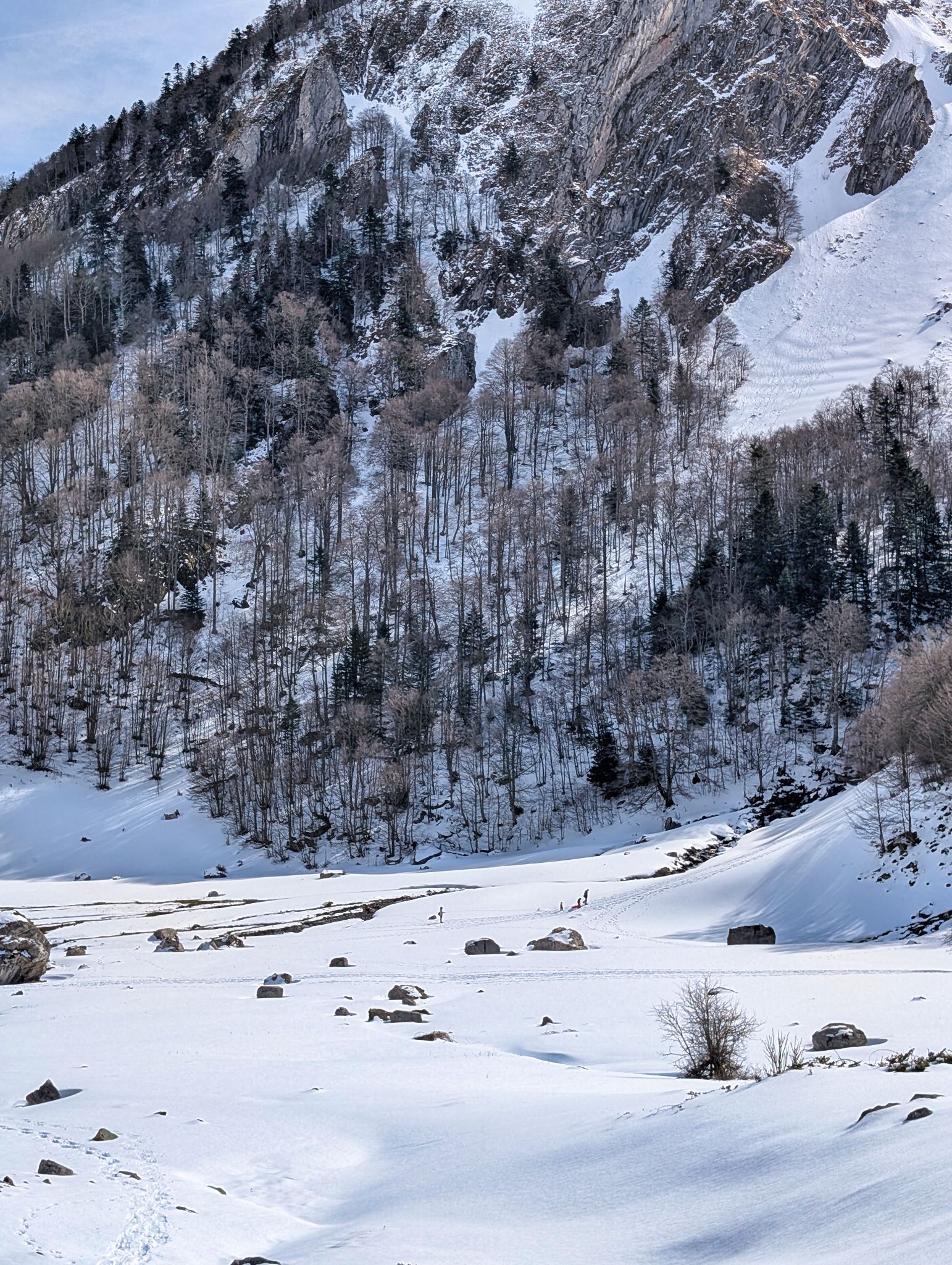 PXL 20260222 121403820