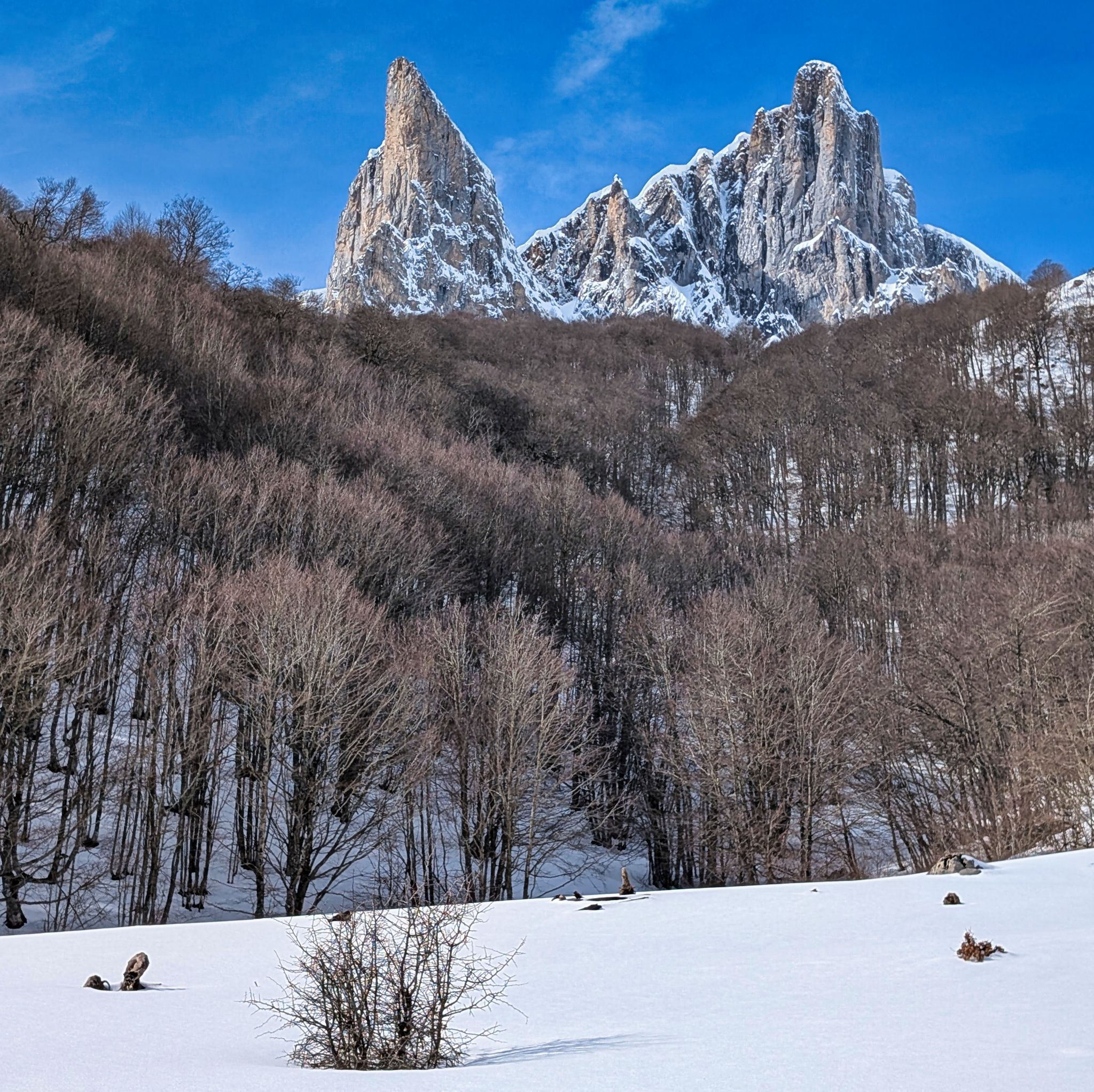 PXL 20260222 121417028