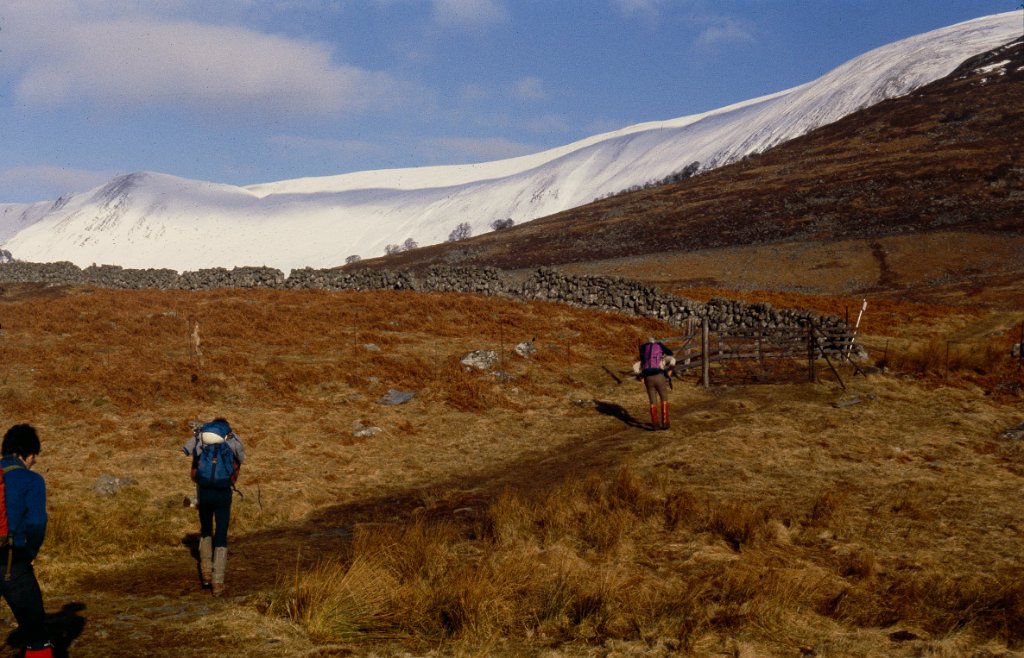 Craig neggy 1 1982.jgp