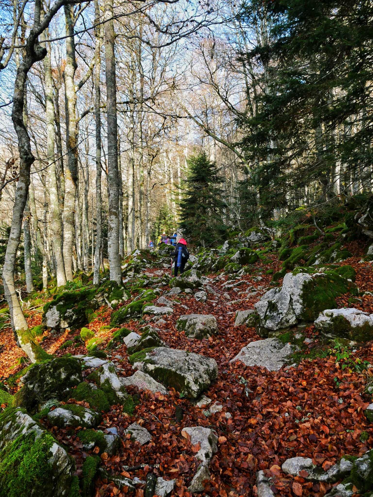 WE Rando Yoga à Lescun