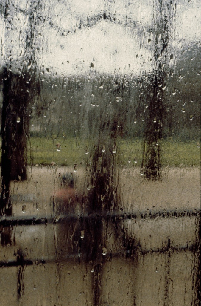 Jardin plantes 1 1979