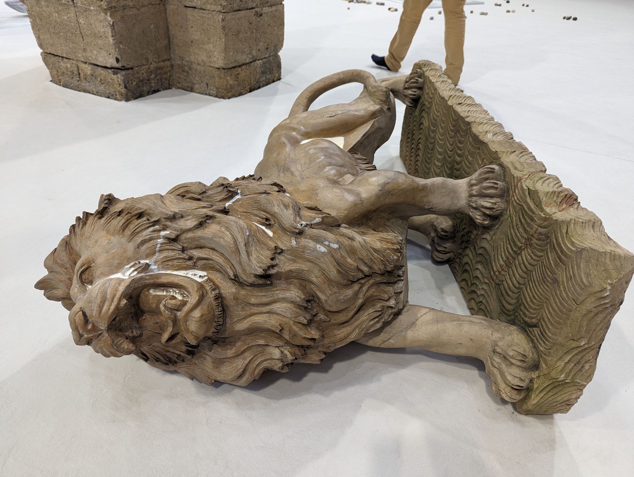 PXL 20240407 144016193.MP