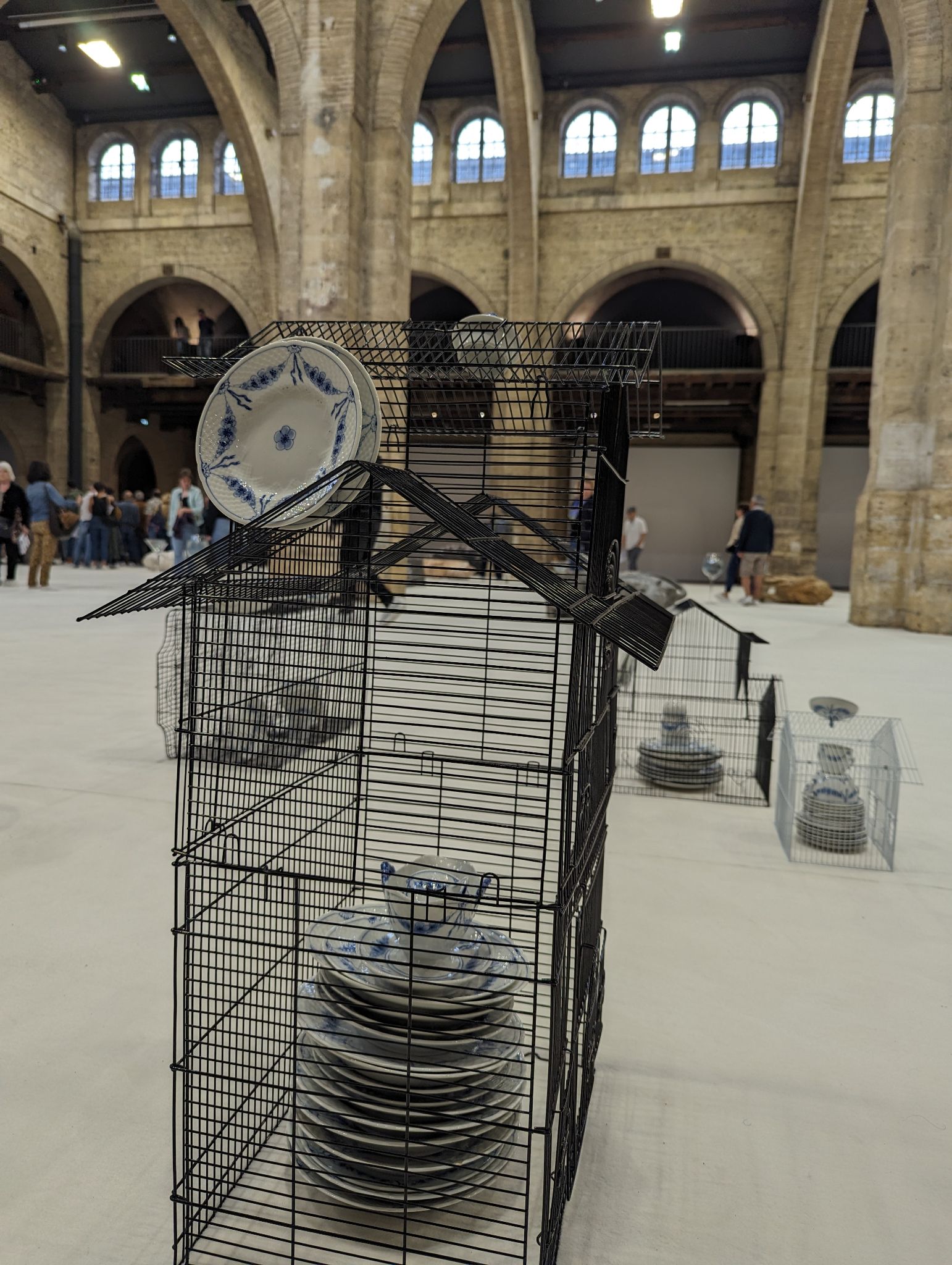 PXL 20240407 144849612