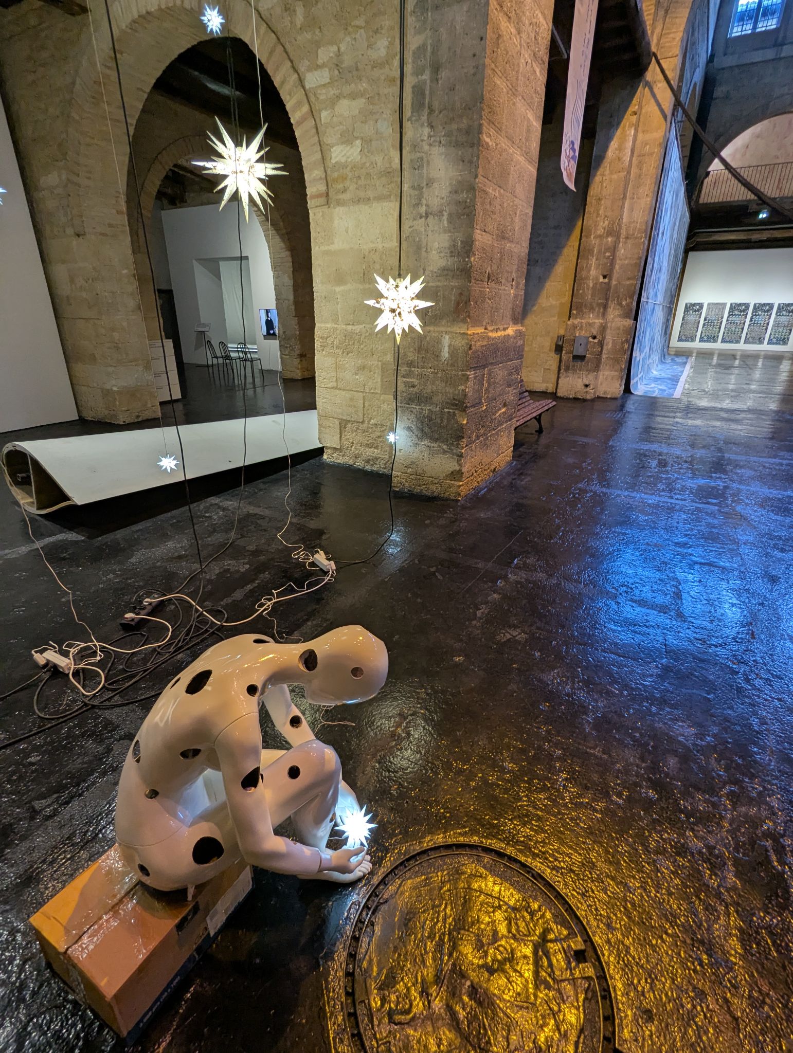 PXL 20241219 121203549