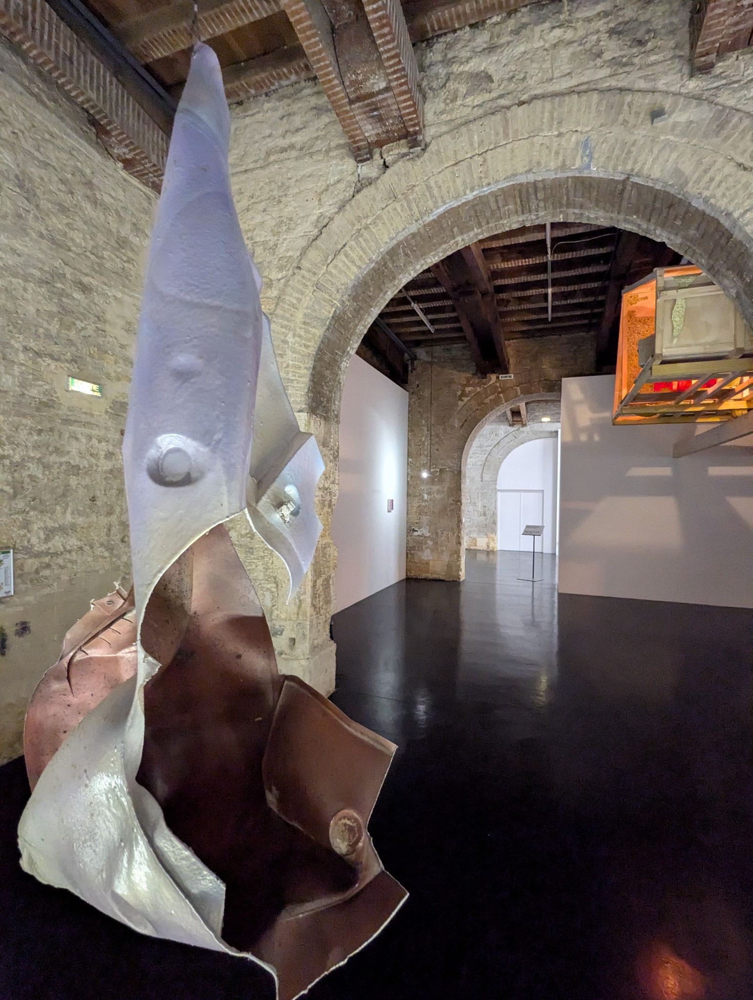 PXL 20241219 121450233.MP