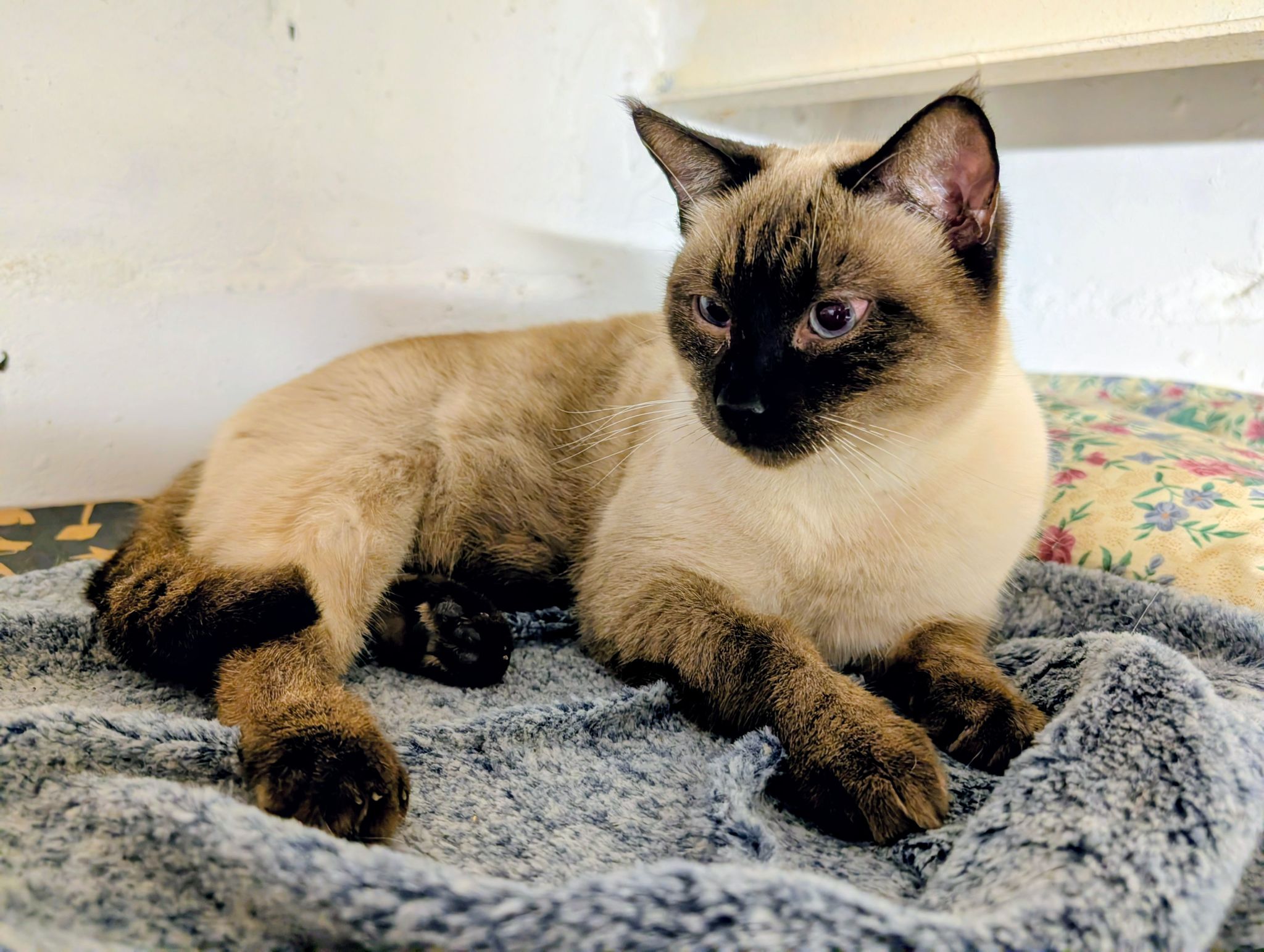 PXL 20260120 212812351~2