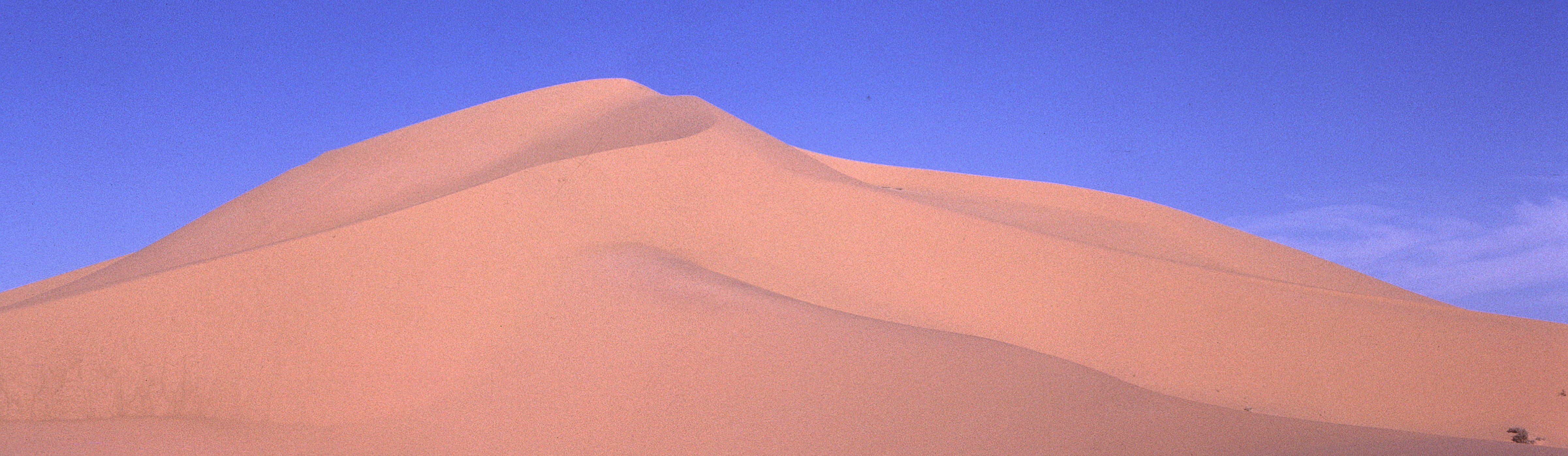 Sahara 16 1981