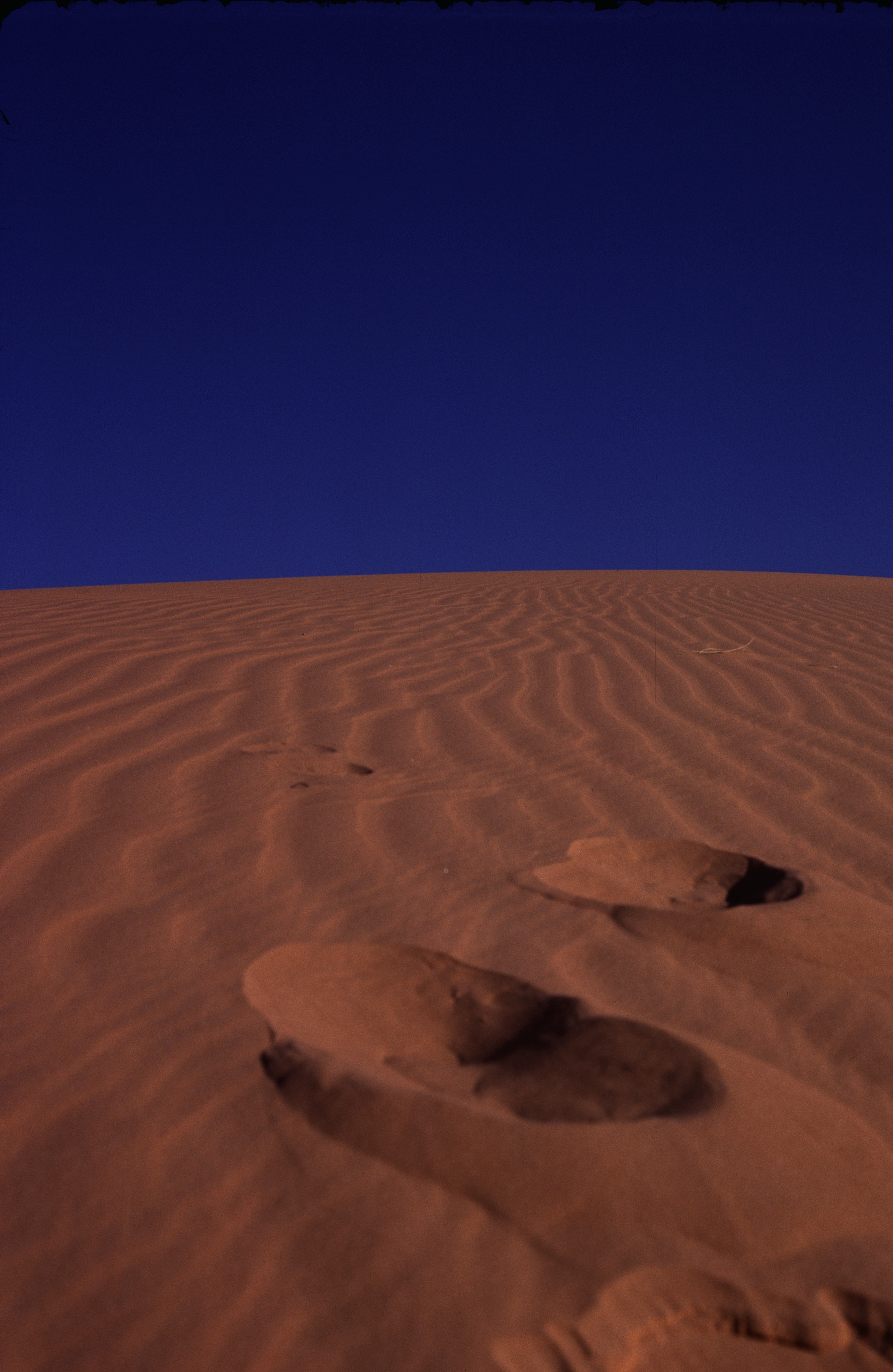 Sahara 20 1981