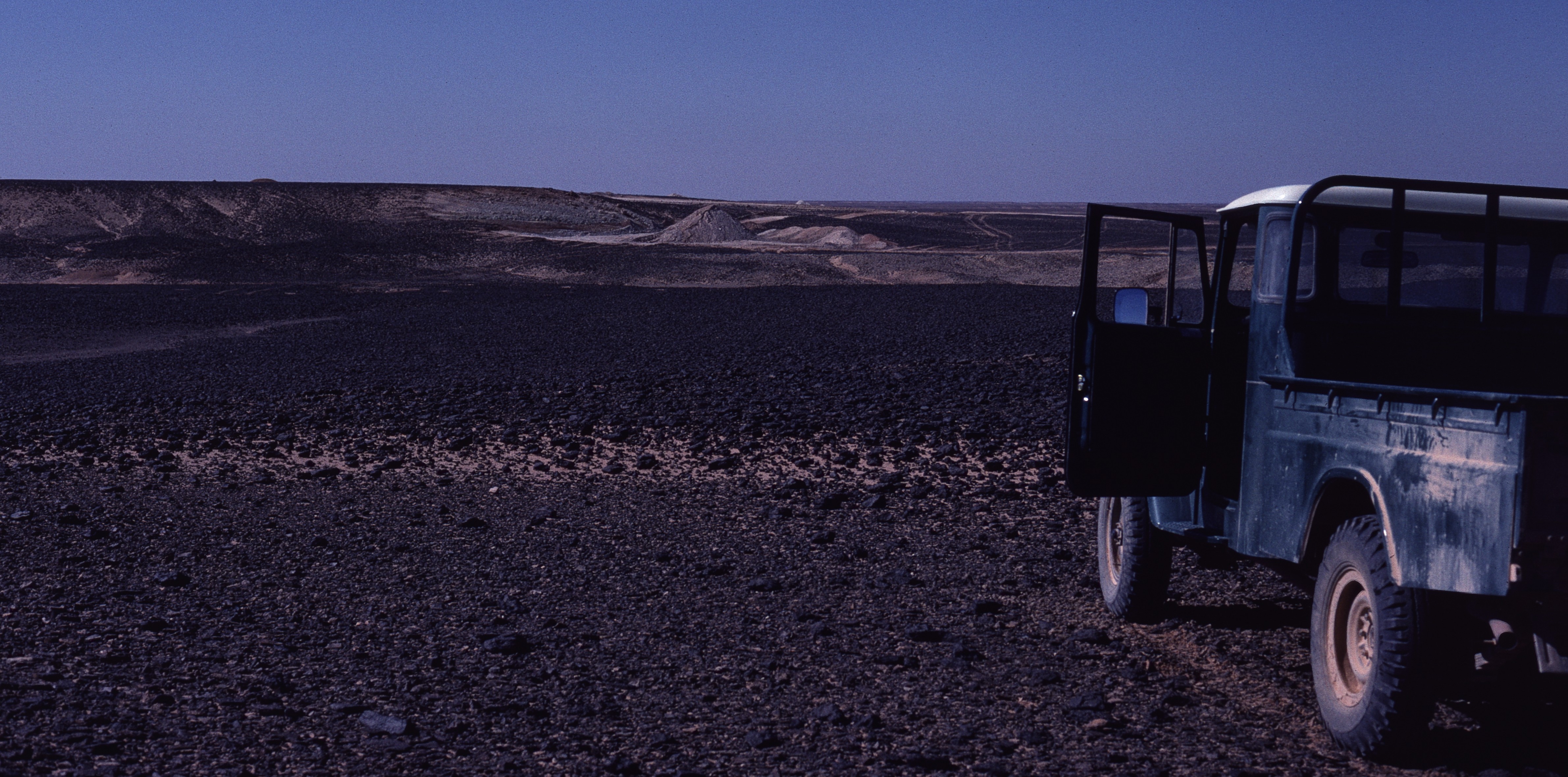 Sahara 29 1981