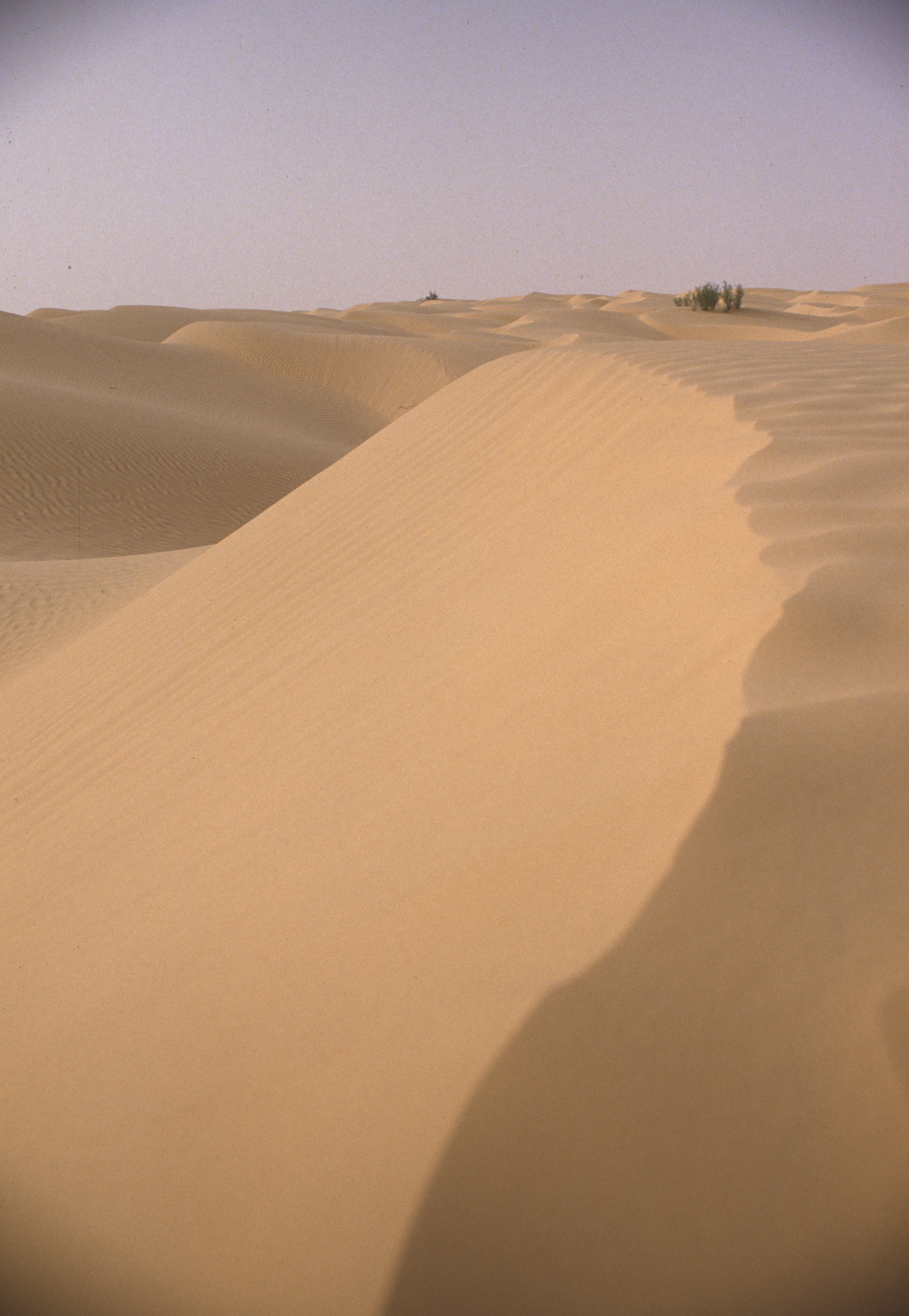 Tunisie 11 1985