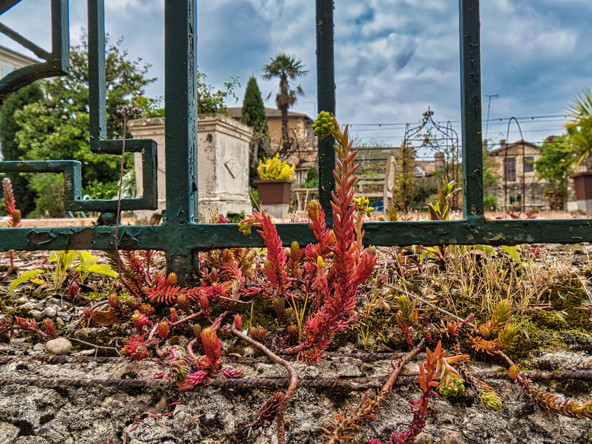 P1000817