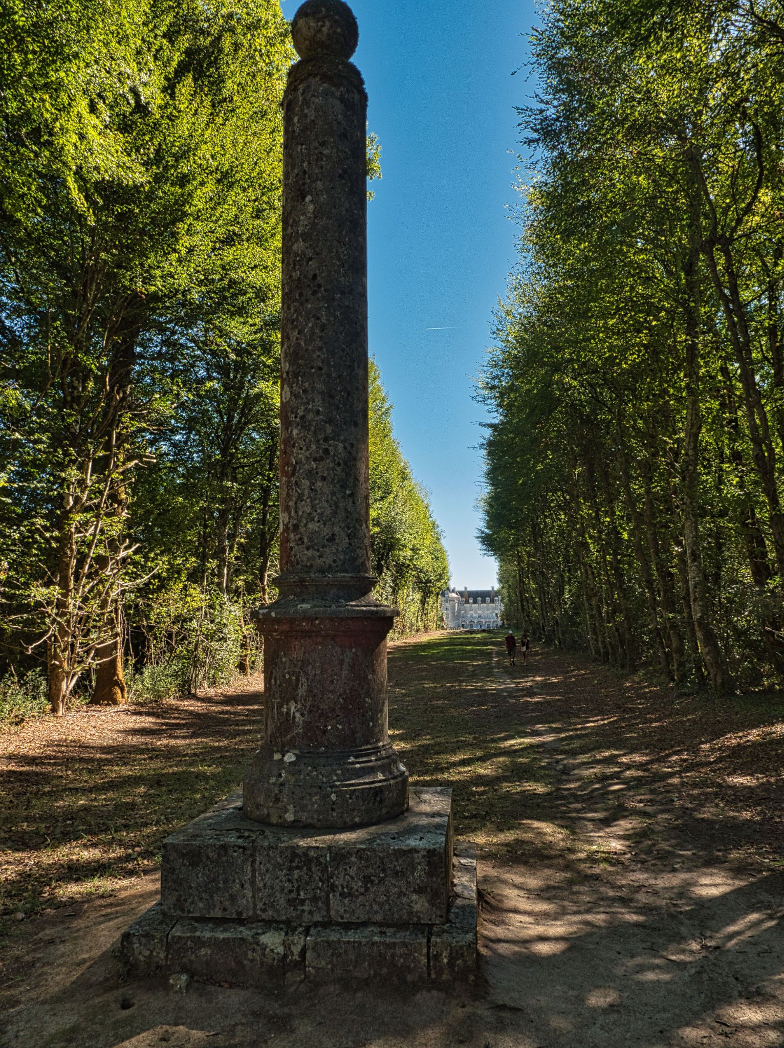 P1001558