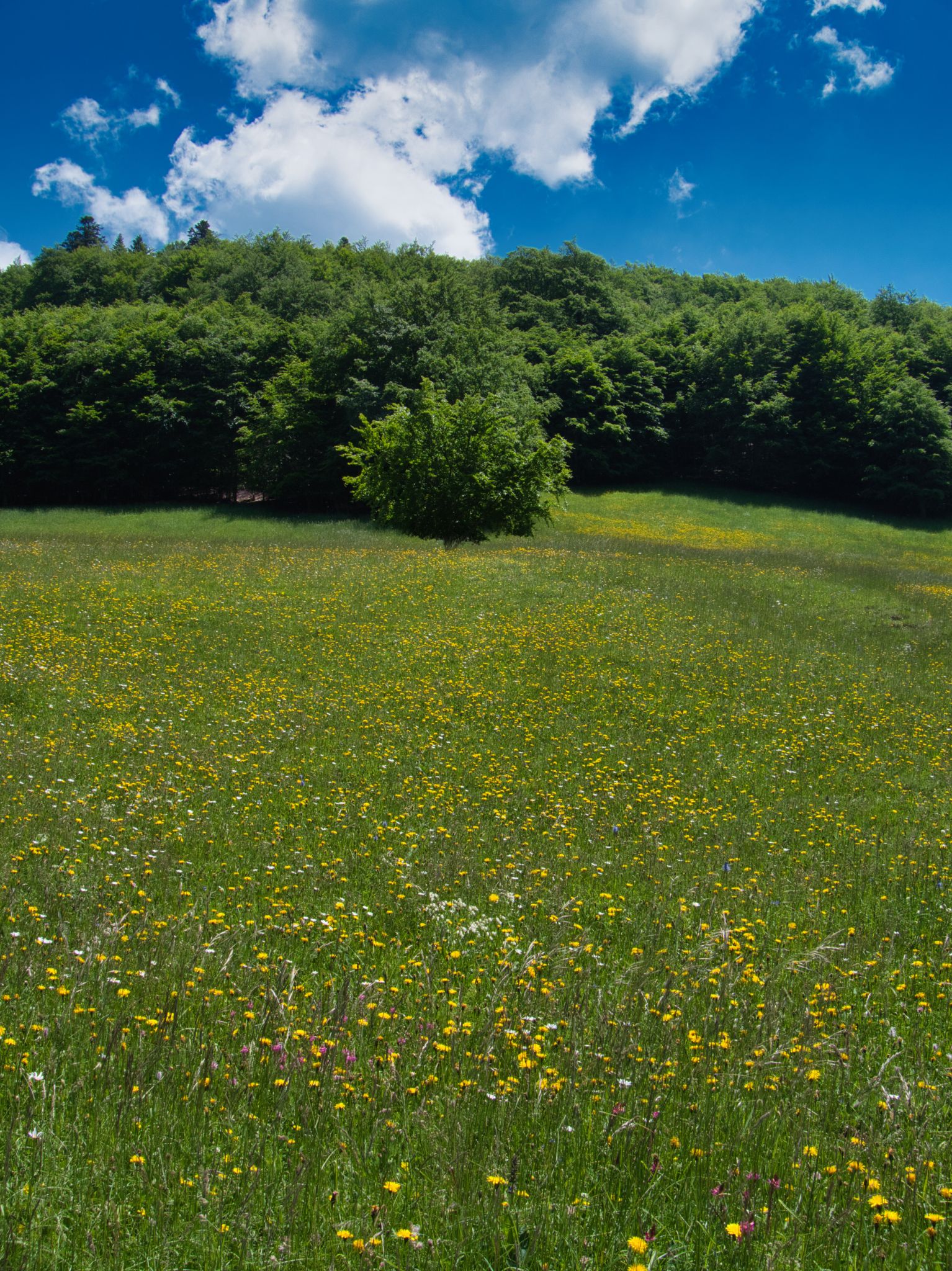 Massif du Vercors